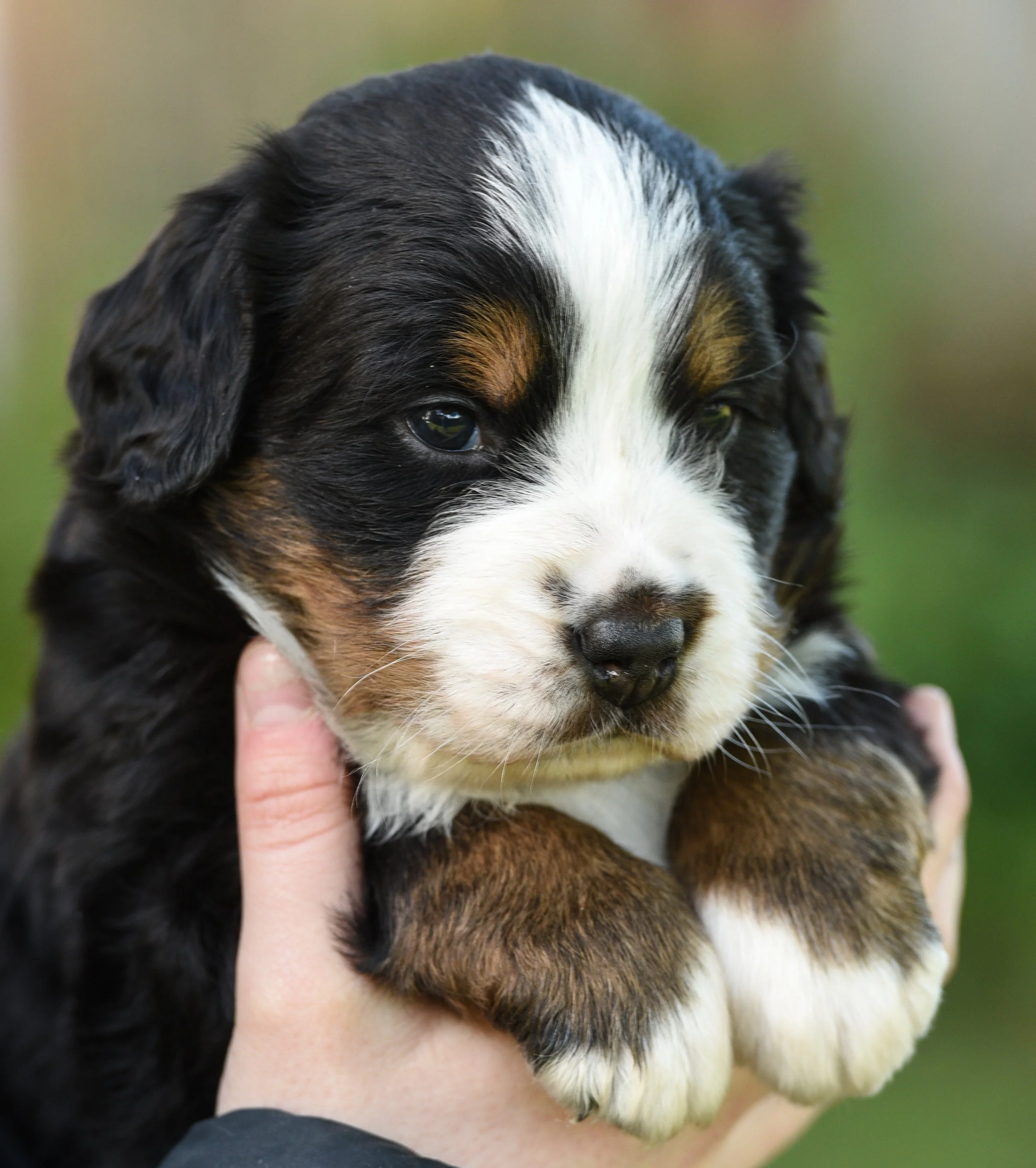 untitled shoot-004.jpg