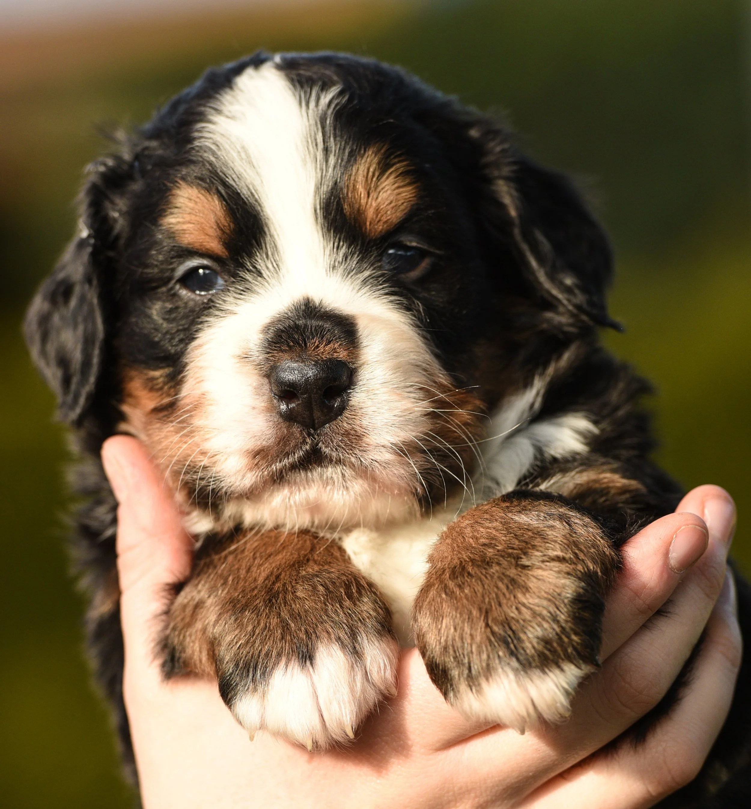 untitled shoot-109.jpg