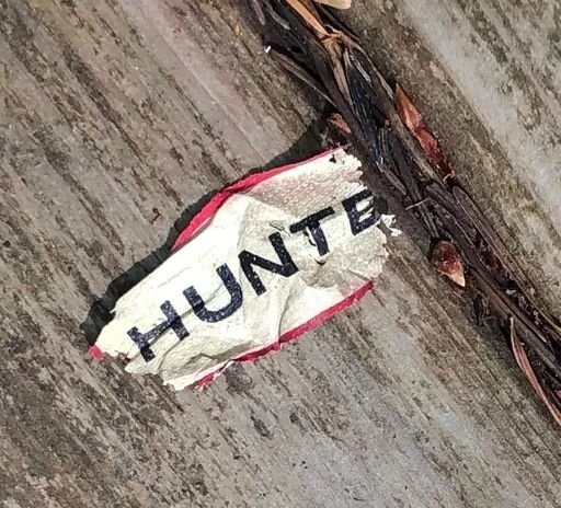 hunter.jpeg