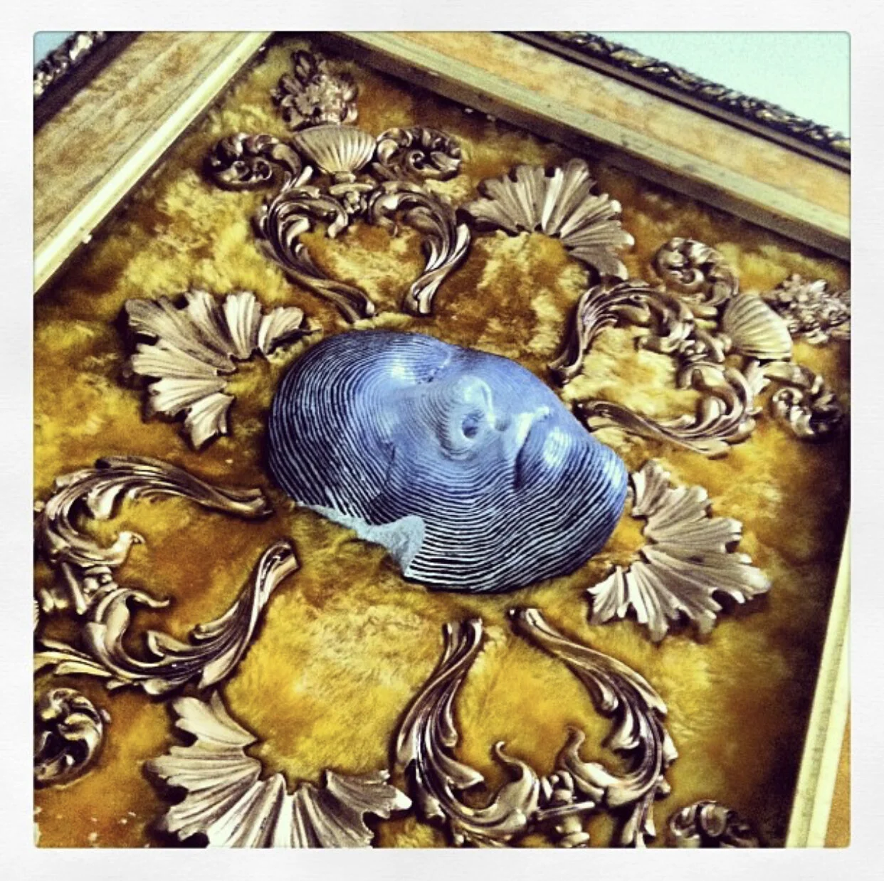 898A66DB-F1D5-4F83-95AB-B034657FEAE4