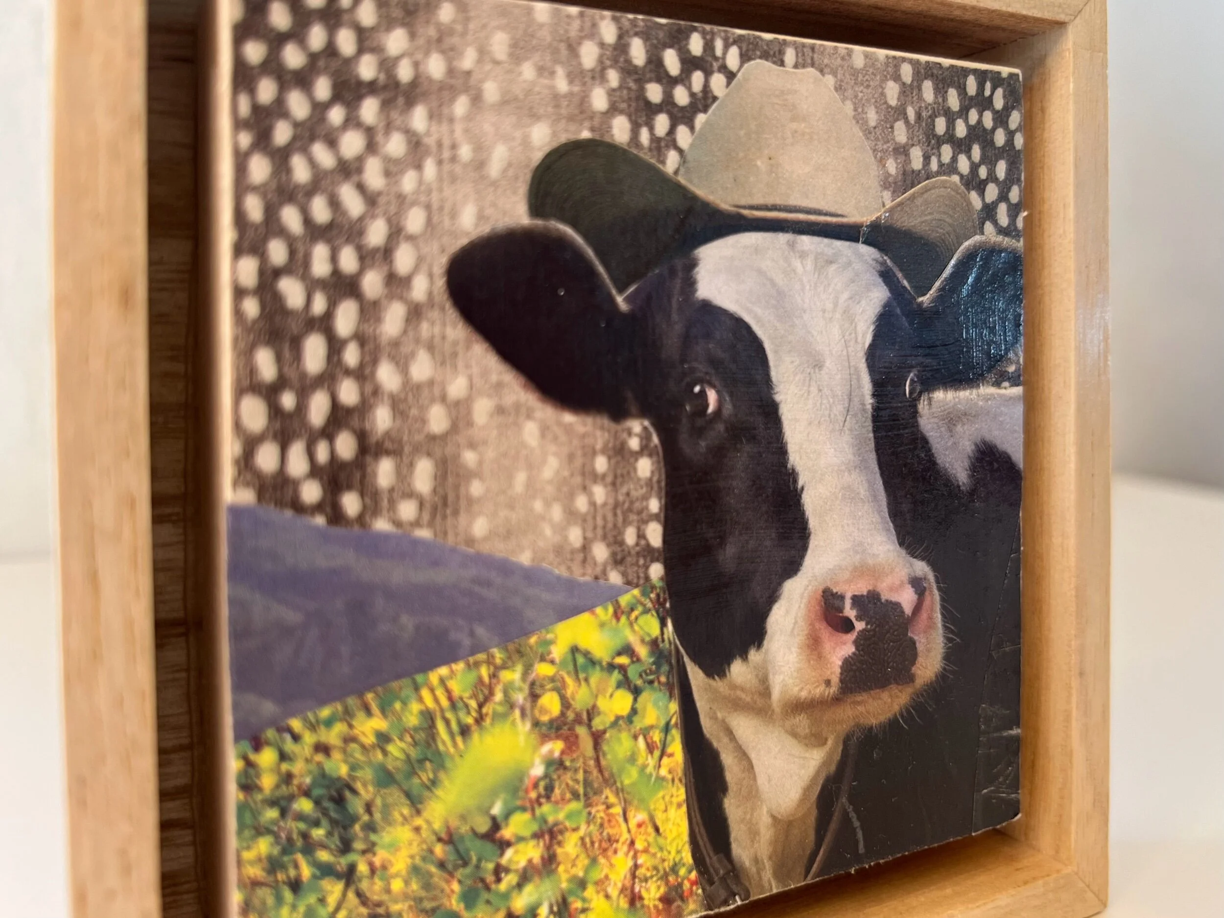 AF44D59D-D957-4378-B274-8928E3B2FD69