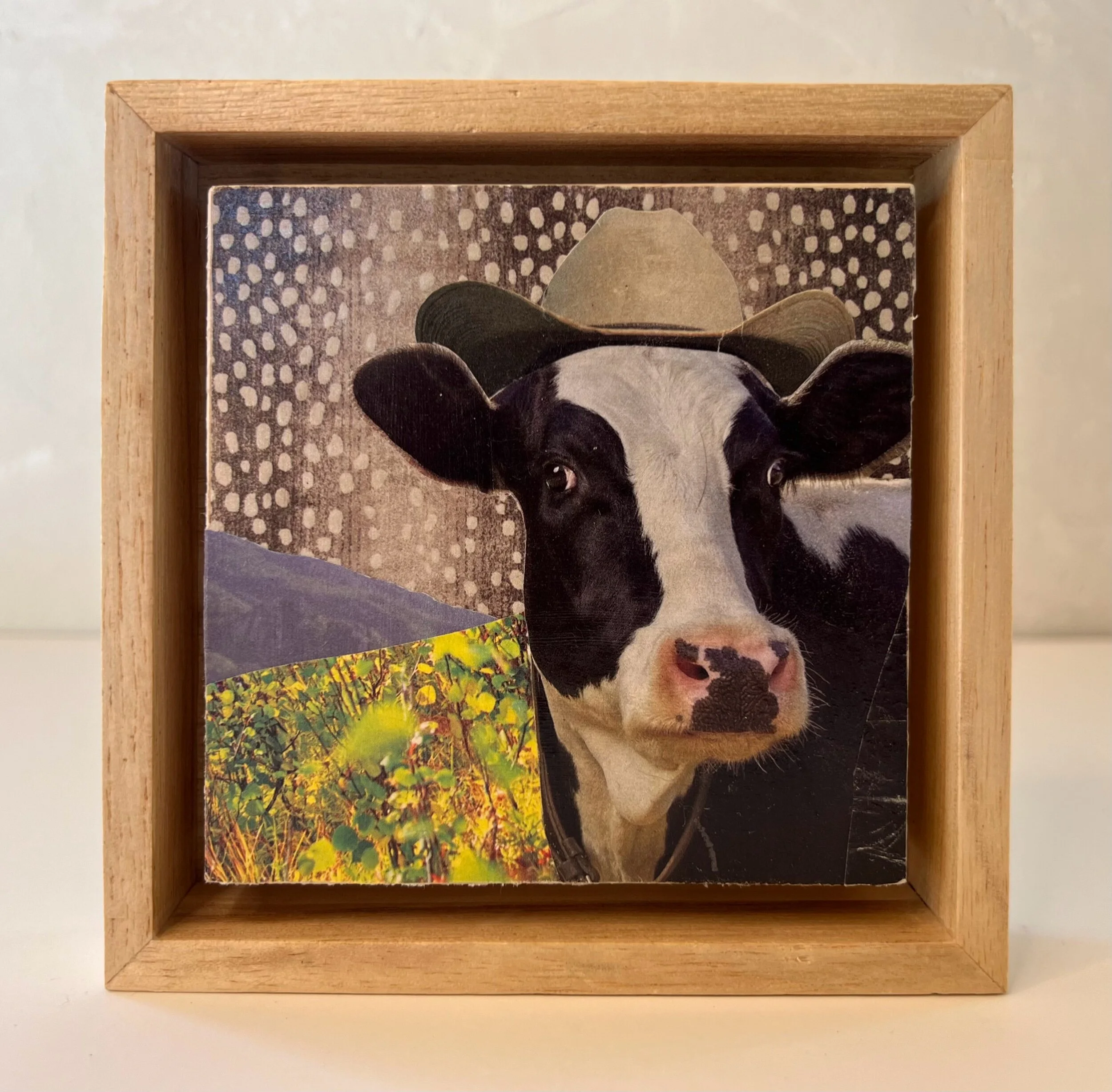 26D95765-7AA2-441F-9BE5-D483D74E351B