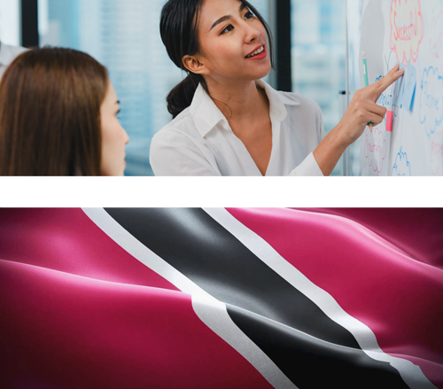 SRG-w-flag.png