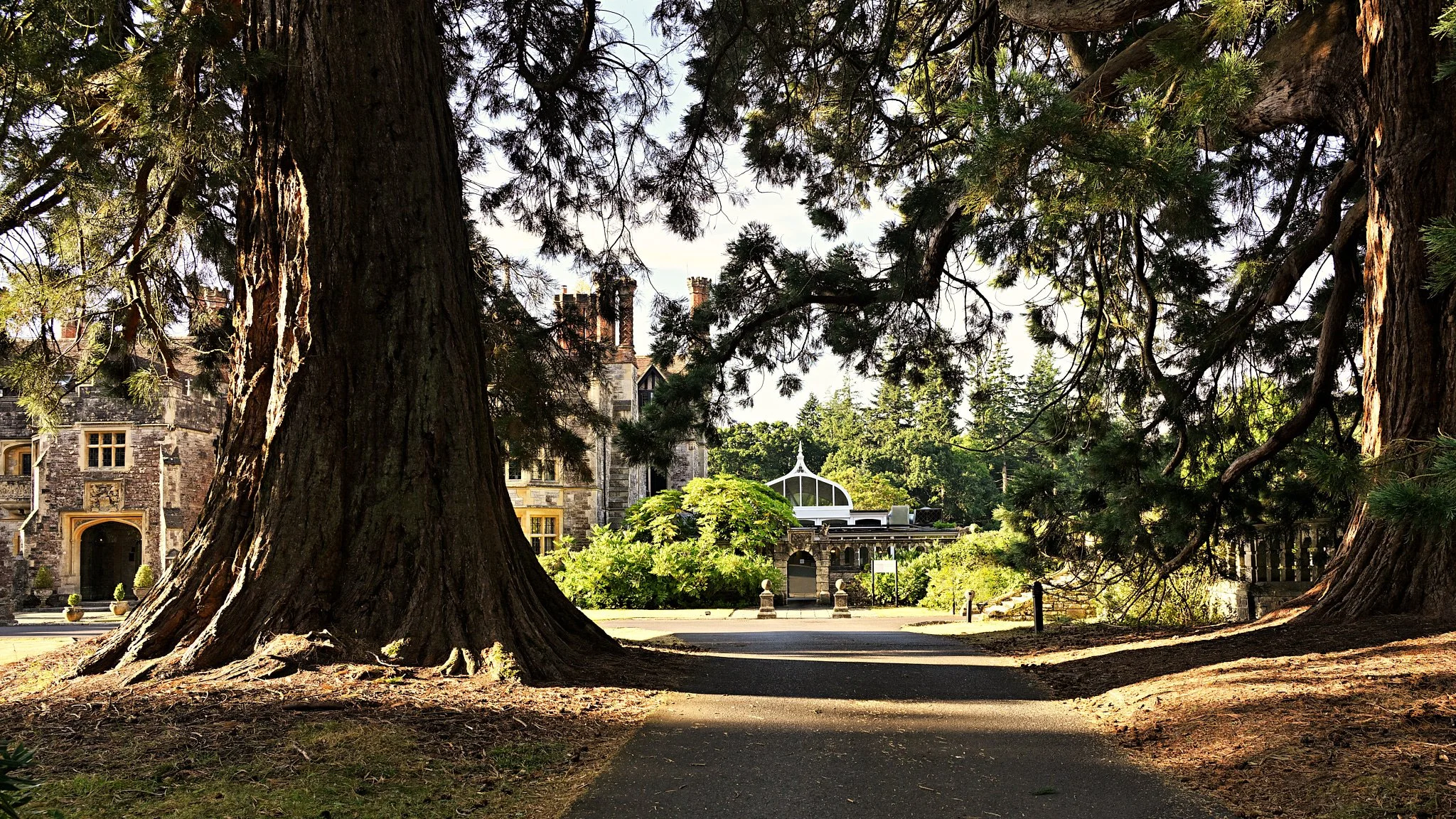 DAVID MALAN_NZ85325-262.jpg