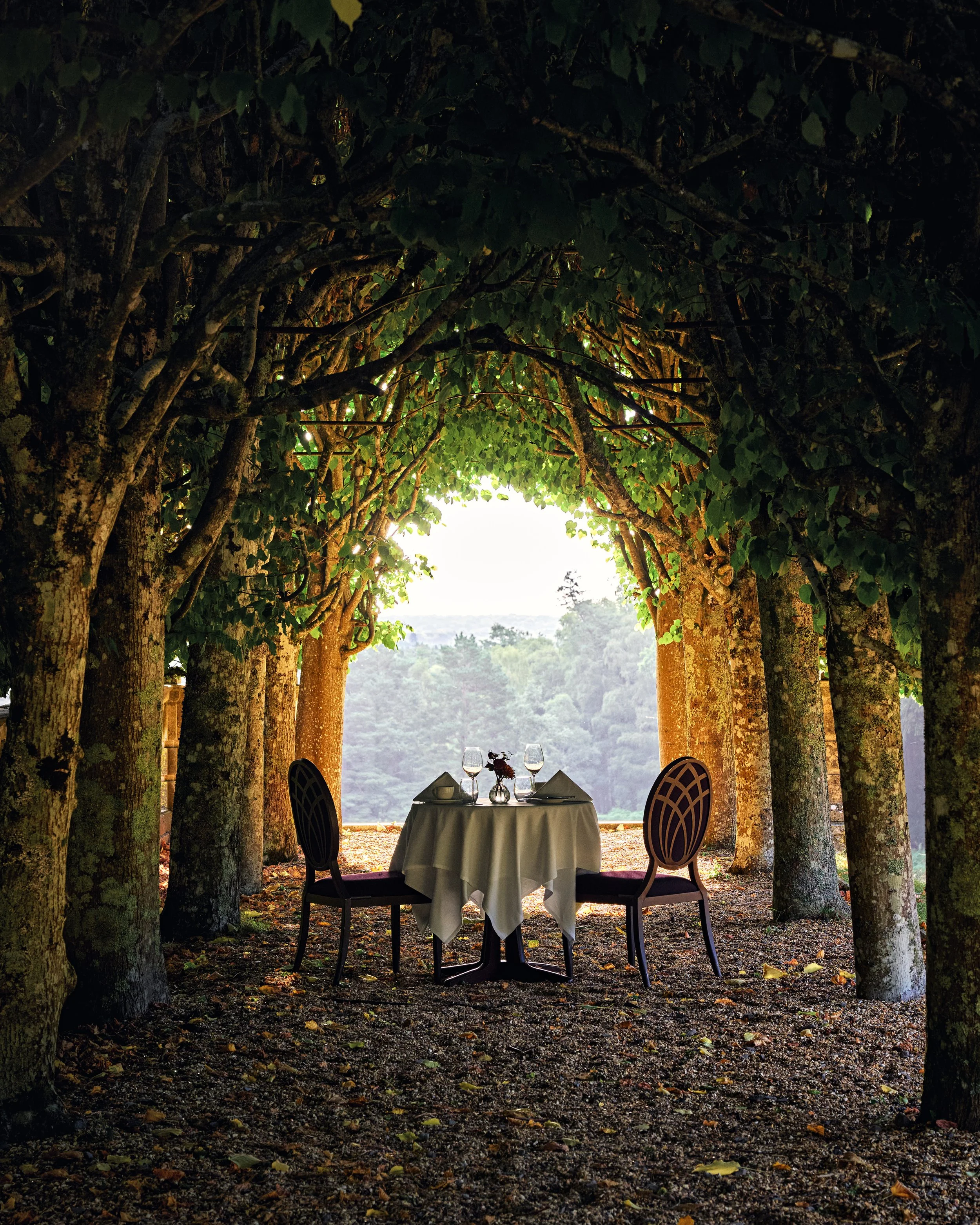 HPH Rhinefield House_Tree_Tunnel_4254.jpg