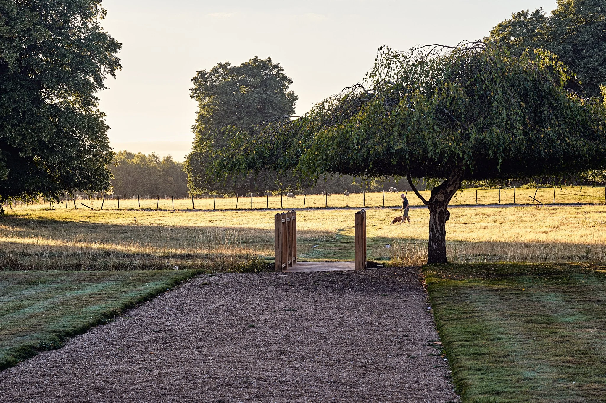 DAVID MALANHPH Chilston Park_Gardens & Exteriors_0243-592.jpg