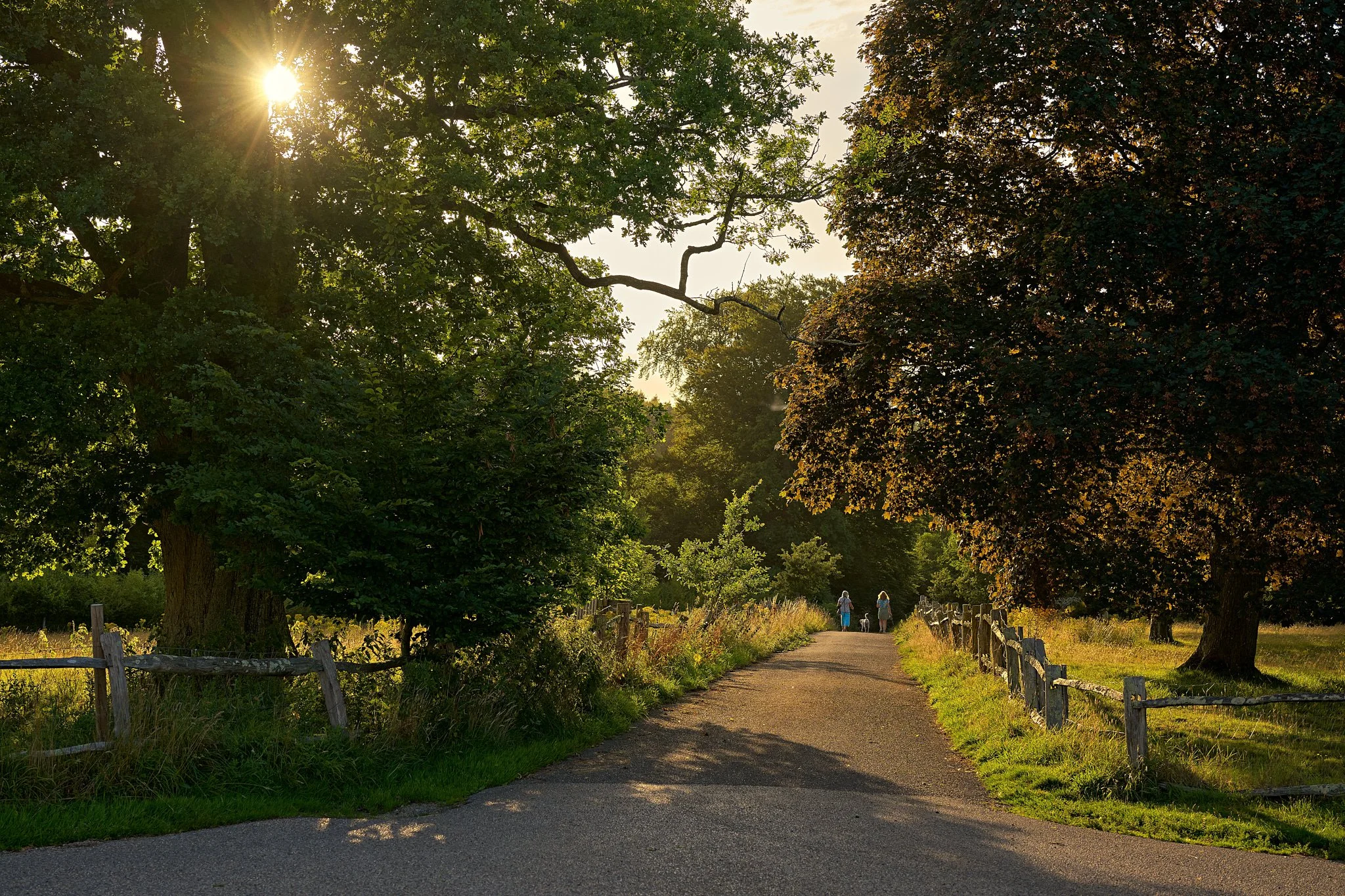 DAVID MALAN_NZ85537-Recovered-146.jpg