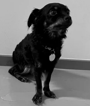 Charlie