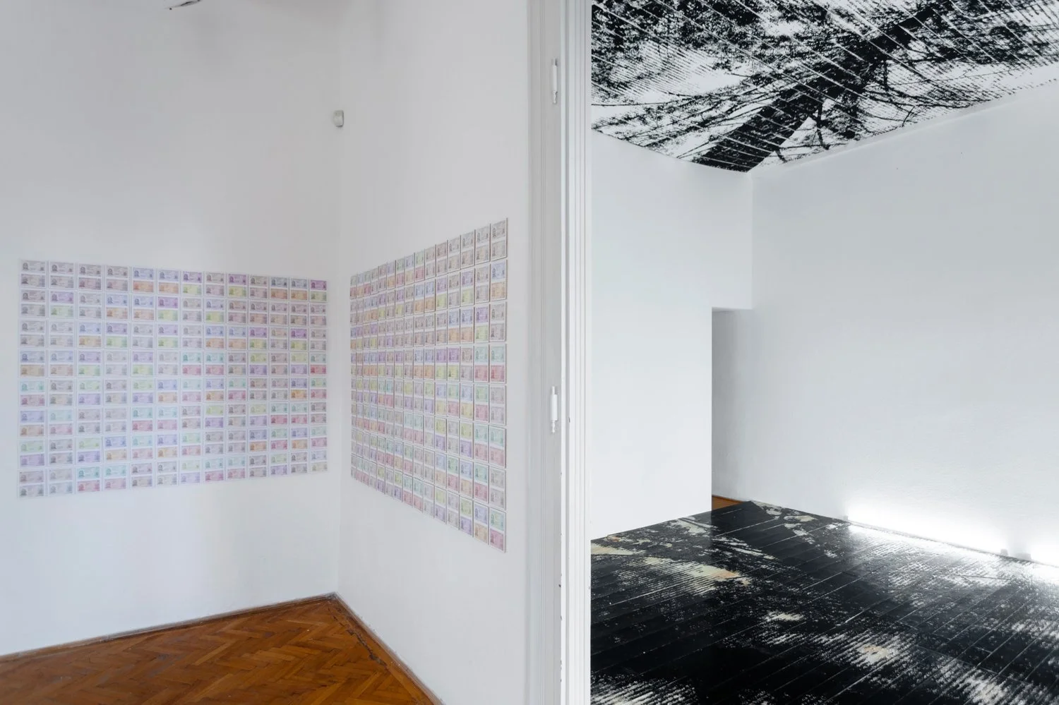 Framed view of ceiling woodcut and wall-mounted ID installation from USA Diary by Gábor Koós (2020