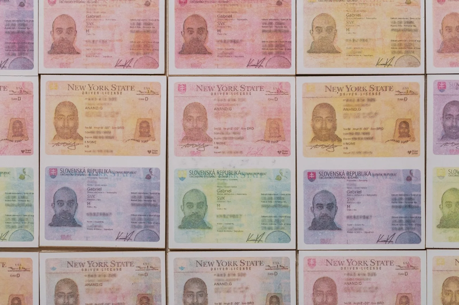 Close-up of nitro-transfer prints resembling ID cards by Koós, exploring themes of identity and migration.