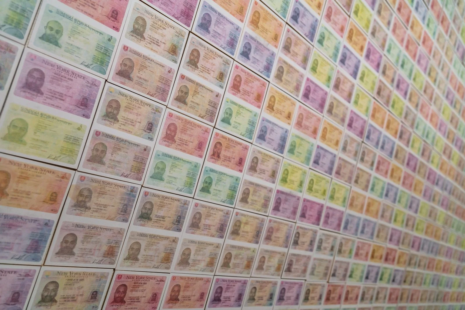 Art installation with duplicated ID cards questioning racial and national identity.