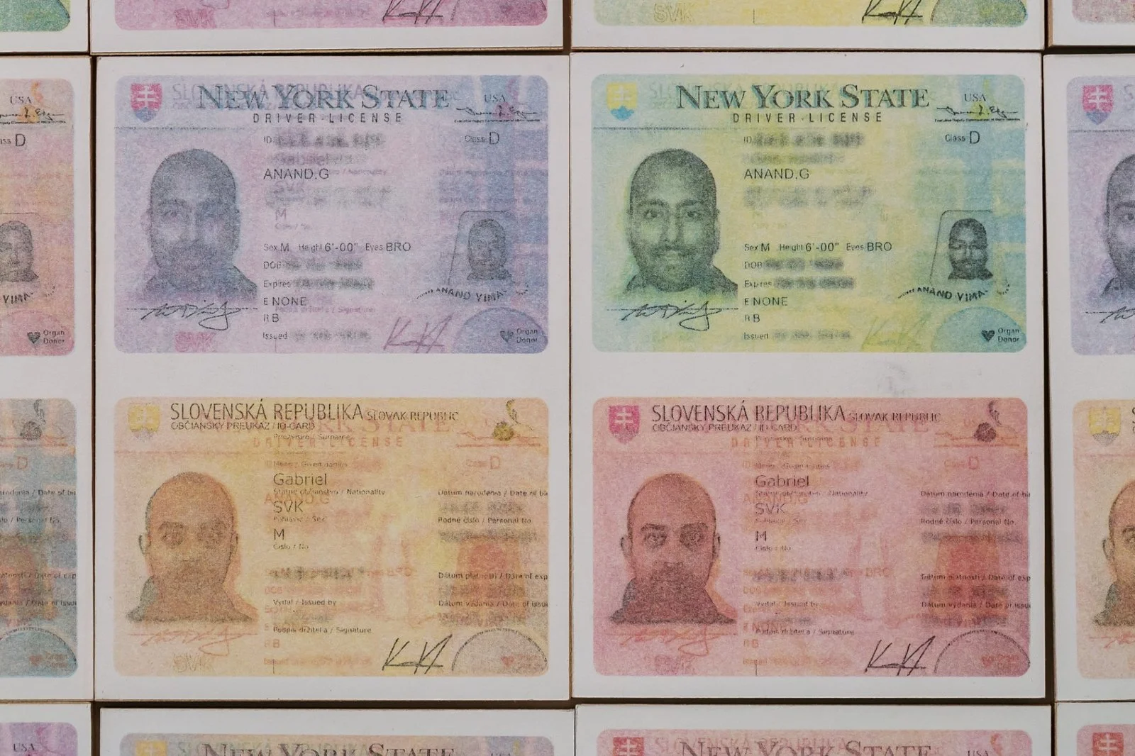 Multiple ID card images arranged in a grid as part of Gábor Koós’ conceptual installation.