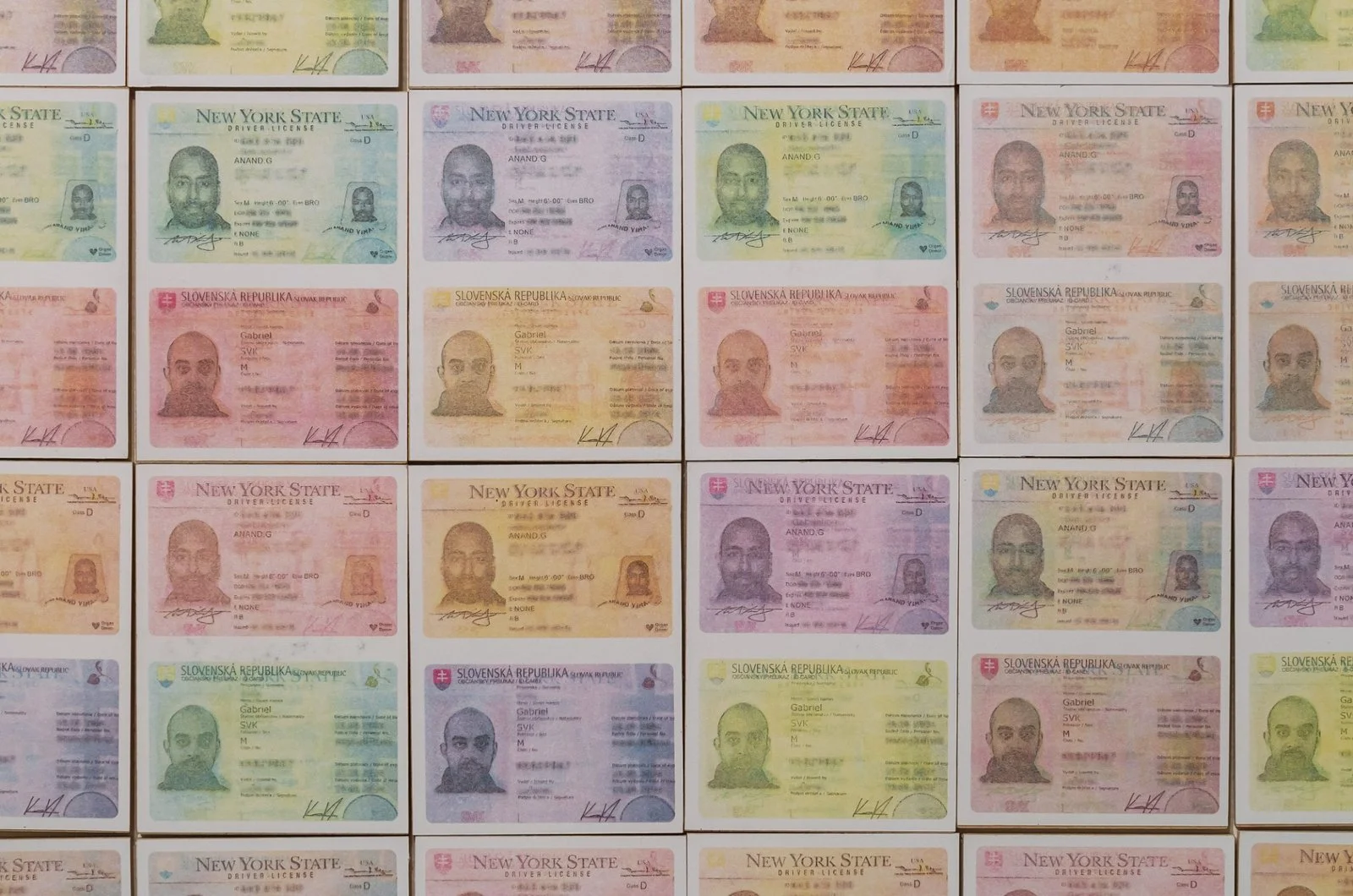 Conceptual artwork by Gábor Koós featuring Slovak and New York State ID cards in a color-altered grid.