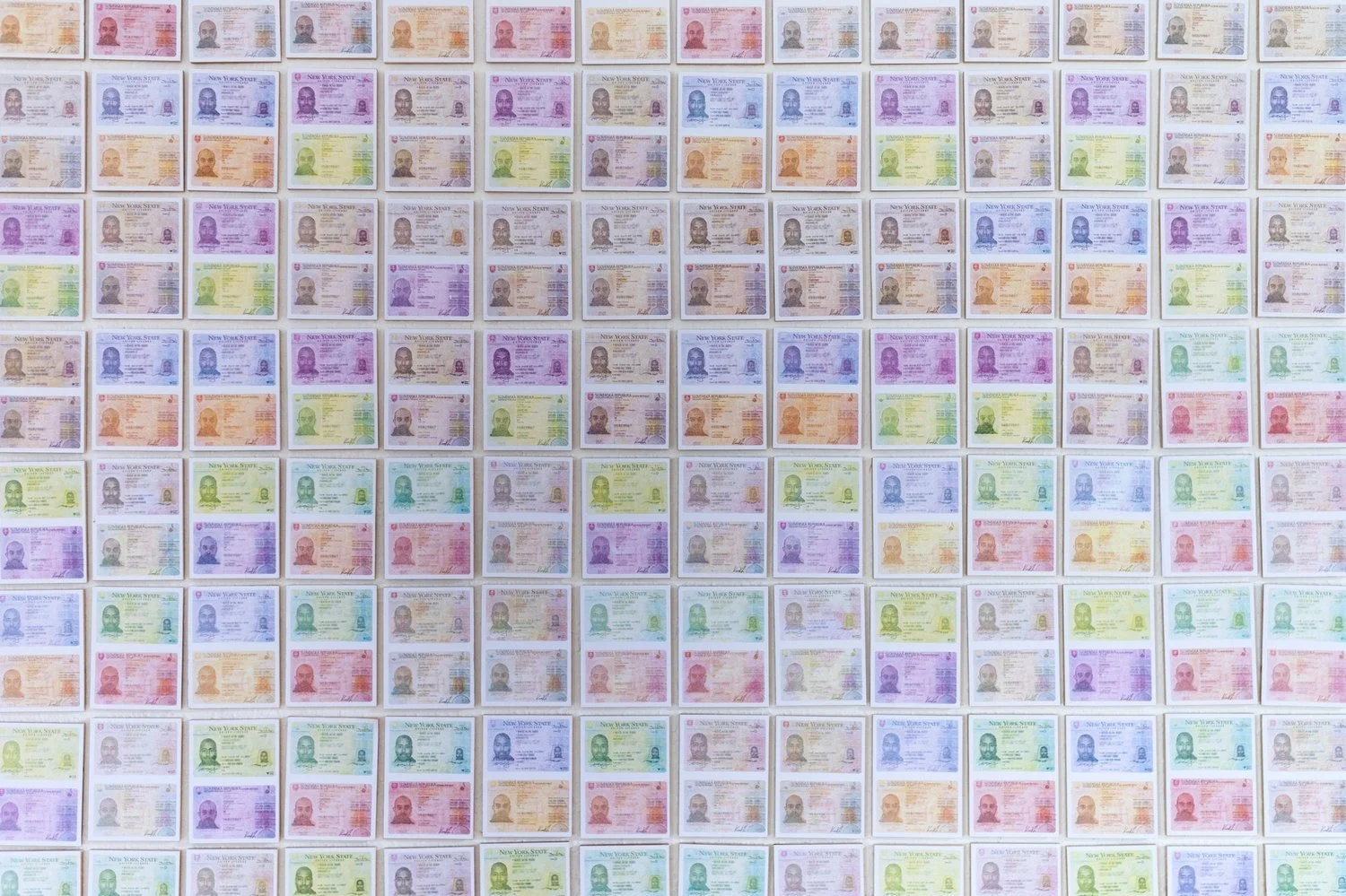 Close-up of rainbow-toned identity documents in Gábor Koós’ conceptual wall installation examining racial profiling and state contro