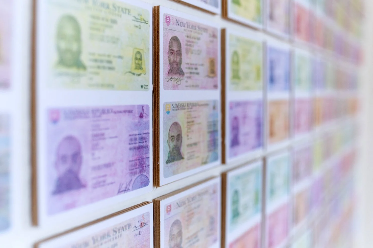 Gallery view of Gábor Koós’ nitro-transfer installation showing a full room of duplicated, color-shifted ID cards
