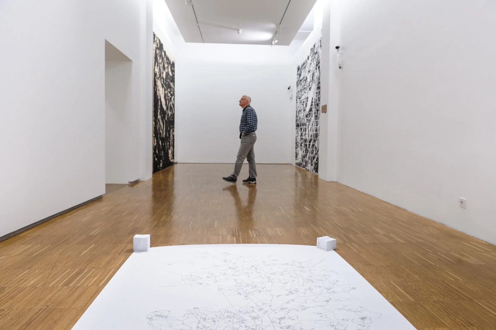 Visitor at Gábor Koós’s ‘Untitled (Mountaineering)’ print installation, reflecting on spatial immersion