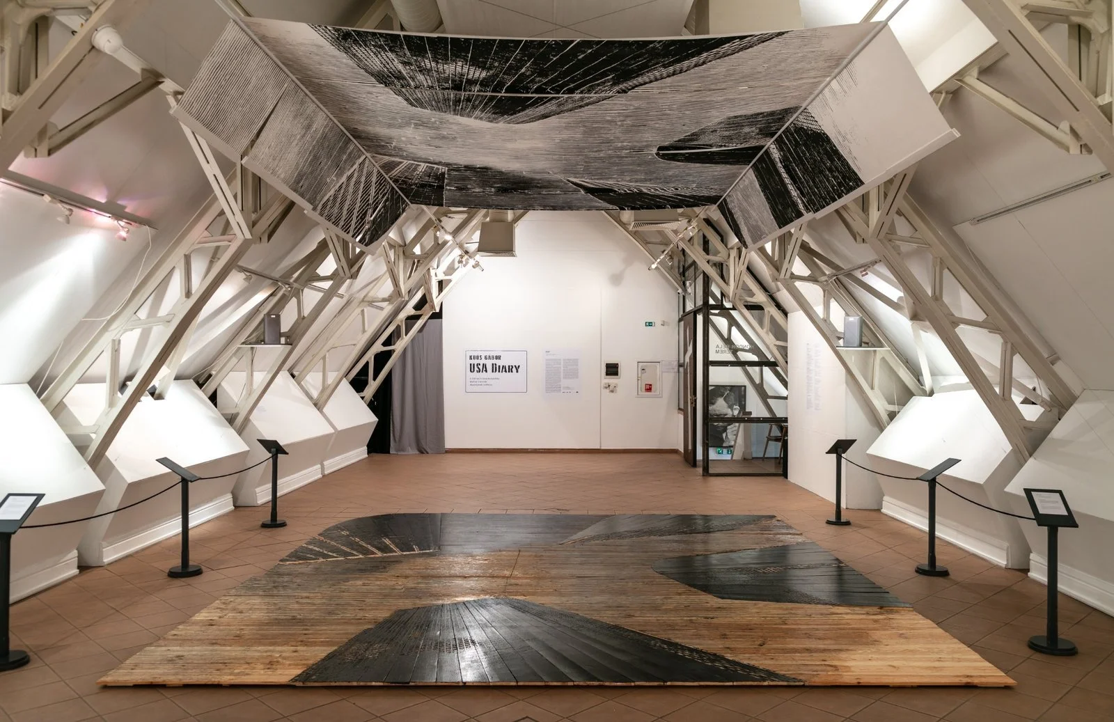 Exhibition entrance with USA Diary wall text and immersive woodcut ceiling by Gábor Koós, 2020.