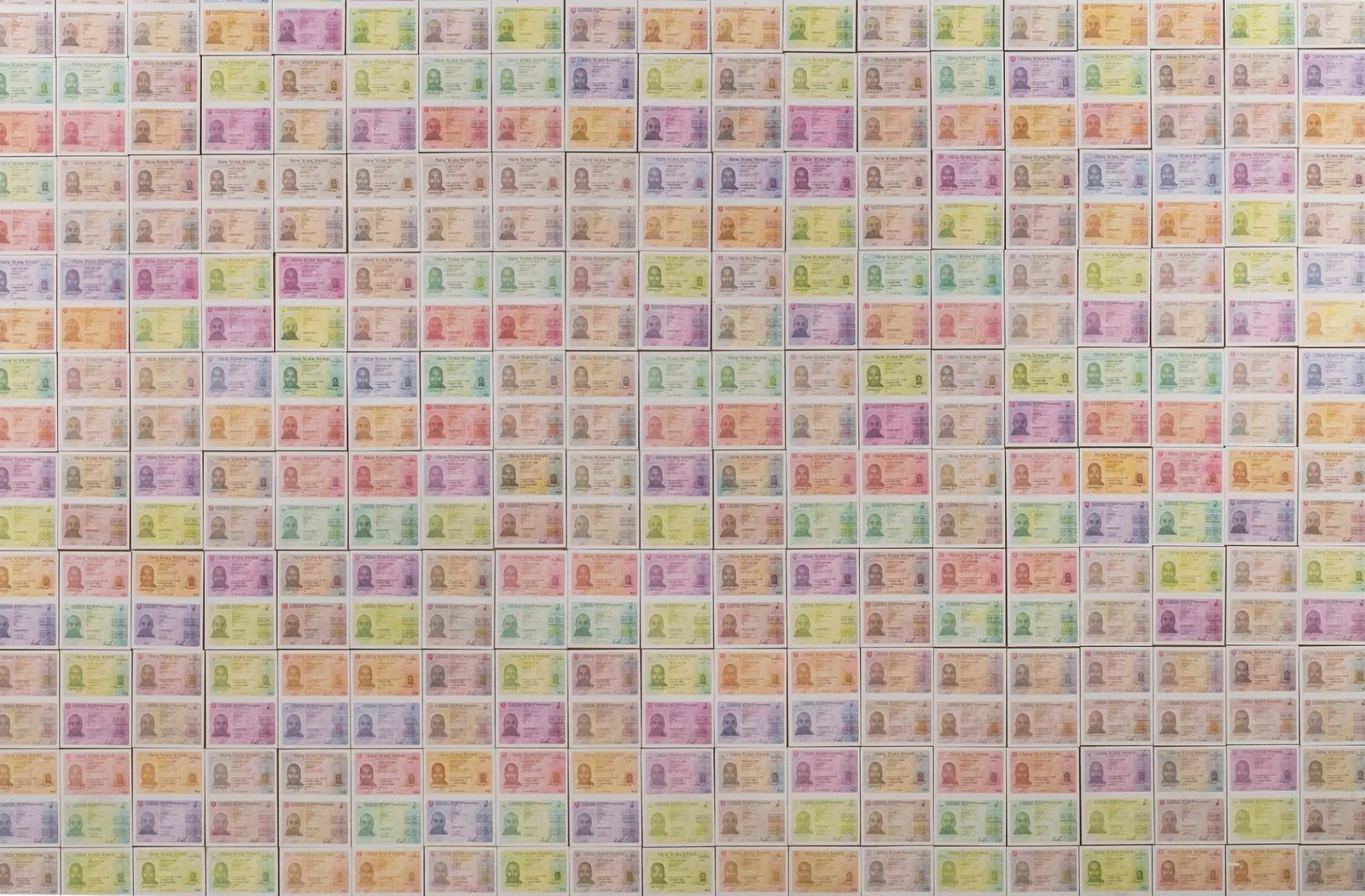 Contemporary art piece by Gábor Koós interrogating bureaucracy and self-representation.