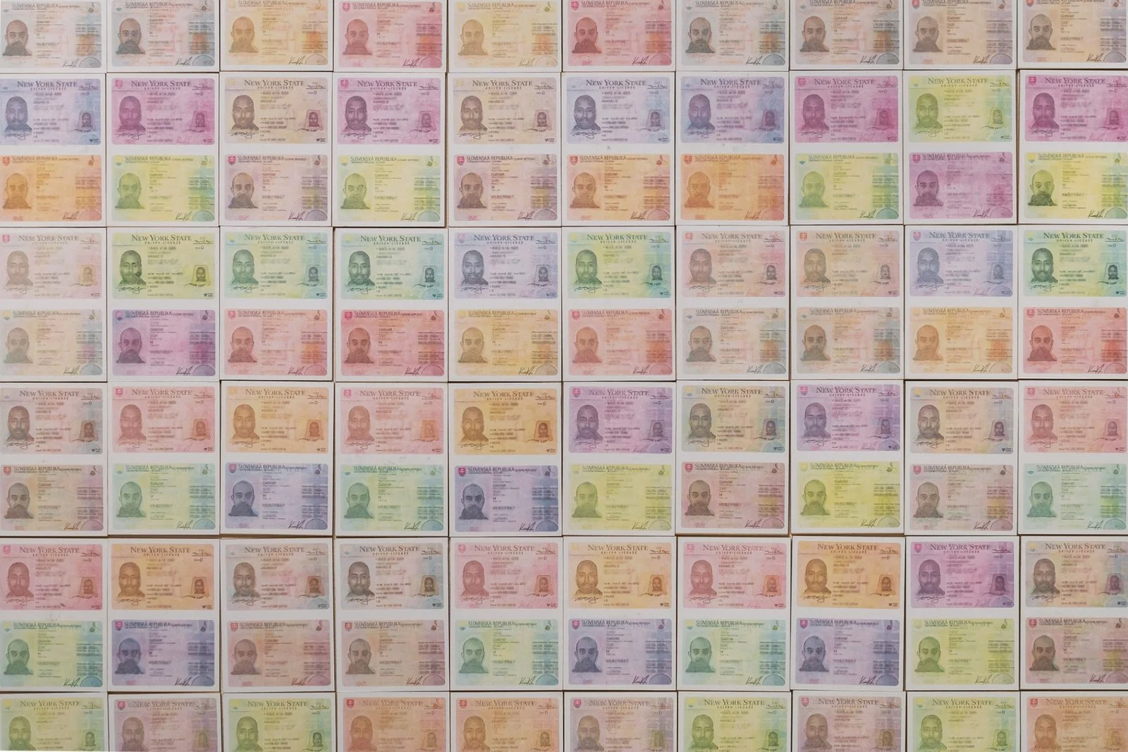 Conceptual artwork by Gábor Koós featuring Slovak and New York State ID cards in a color-altered grid.