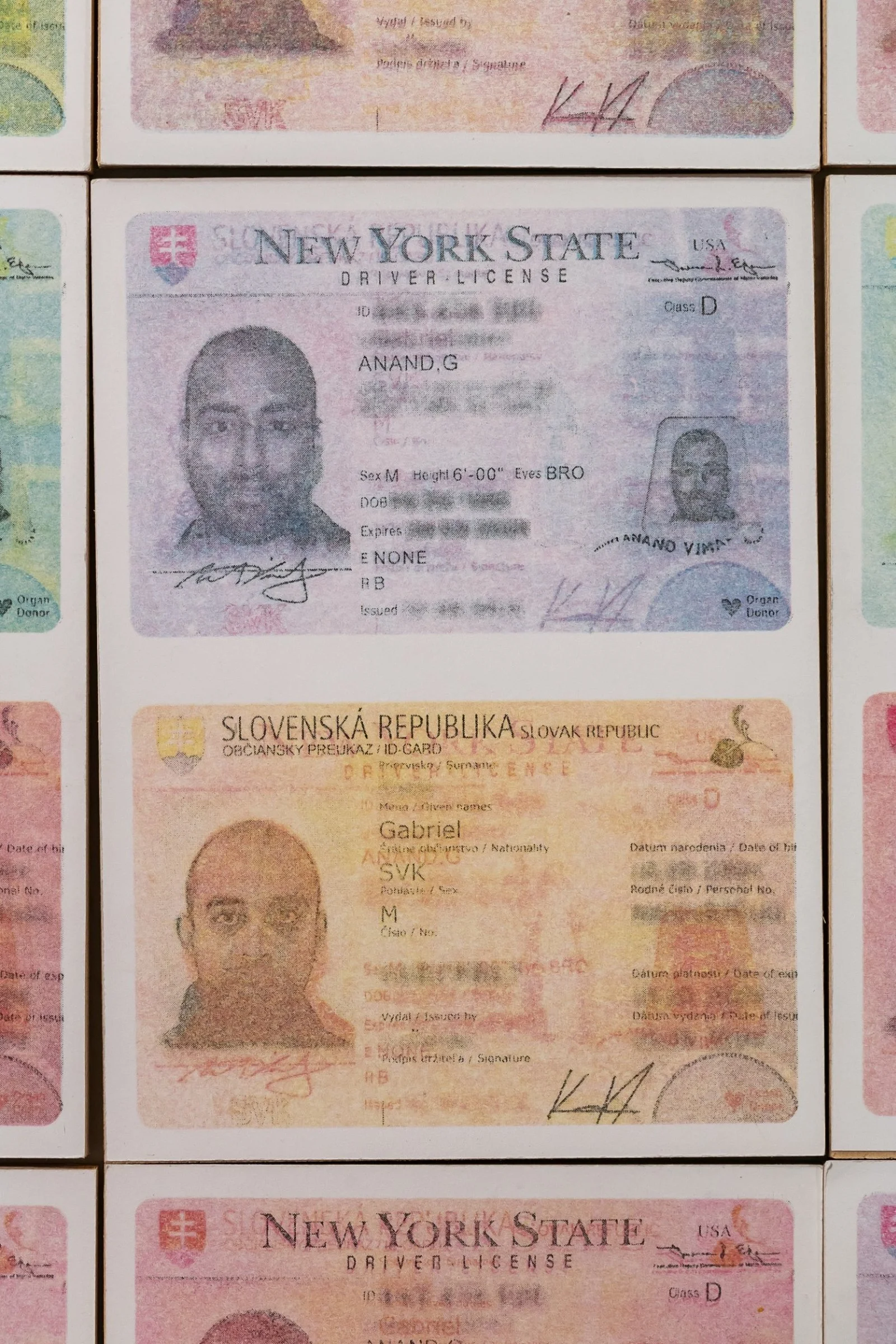 Wall installation of altered identity documents questioning citizenship and borders by Gábor Koós.