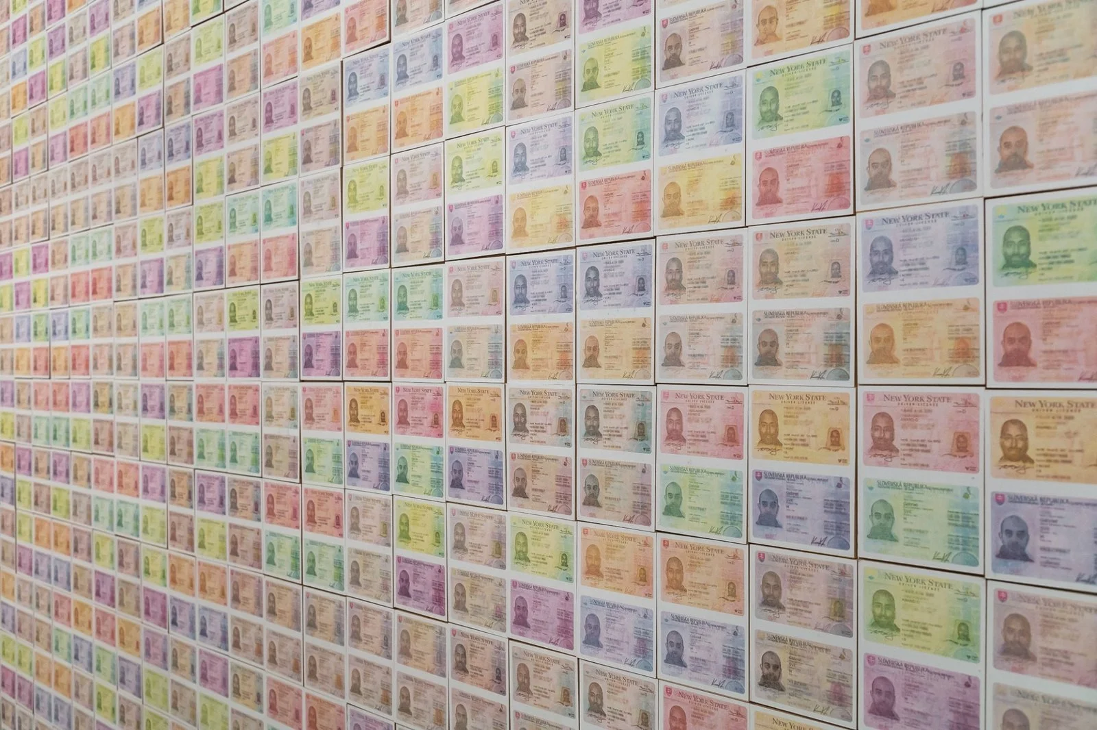 Immersive installation of ID reproductions evoking institutional aesthetics.