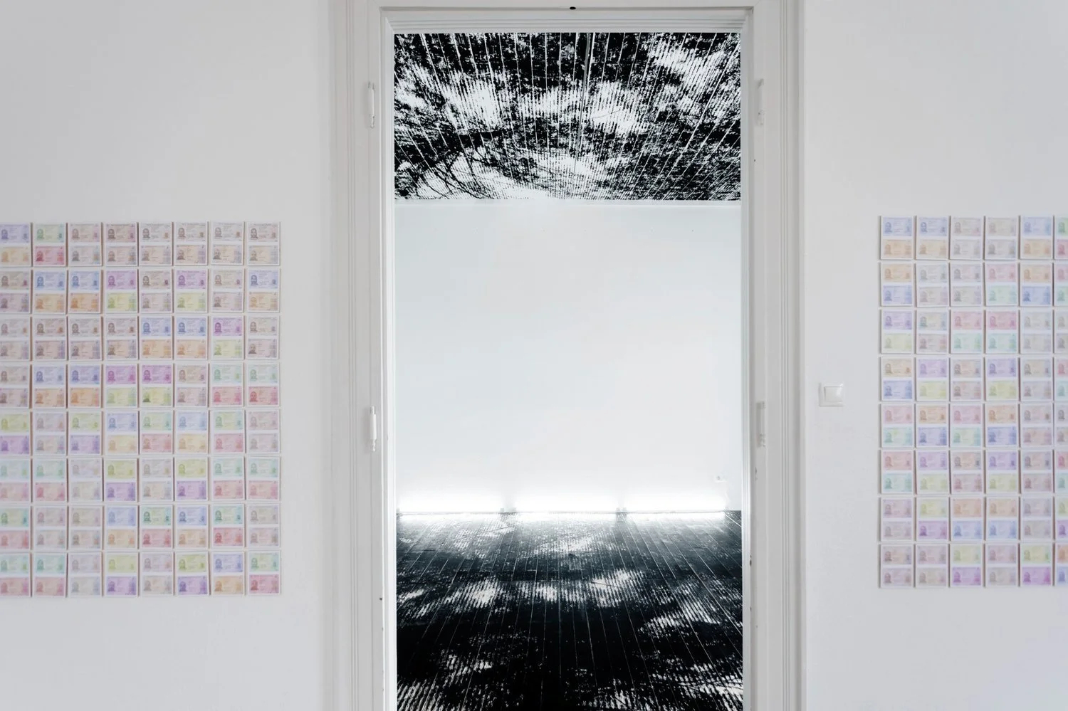 Multicolored ID card installation detail from Gábor Koós’ 2020 USA Diary project, referencing bureaucratic identity and migration politics