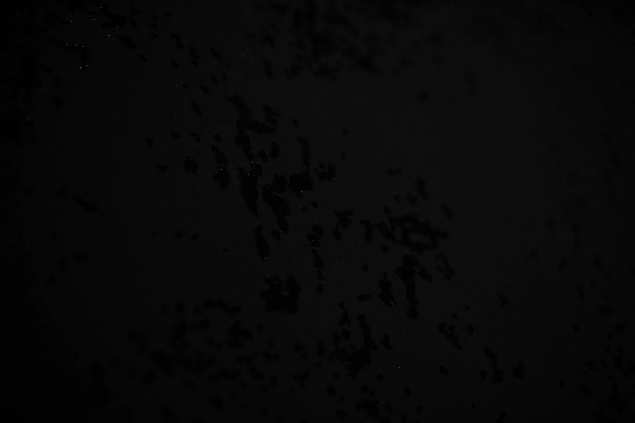 Sparse pattern and light grain on black background, Gábor Koós installation fragment
