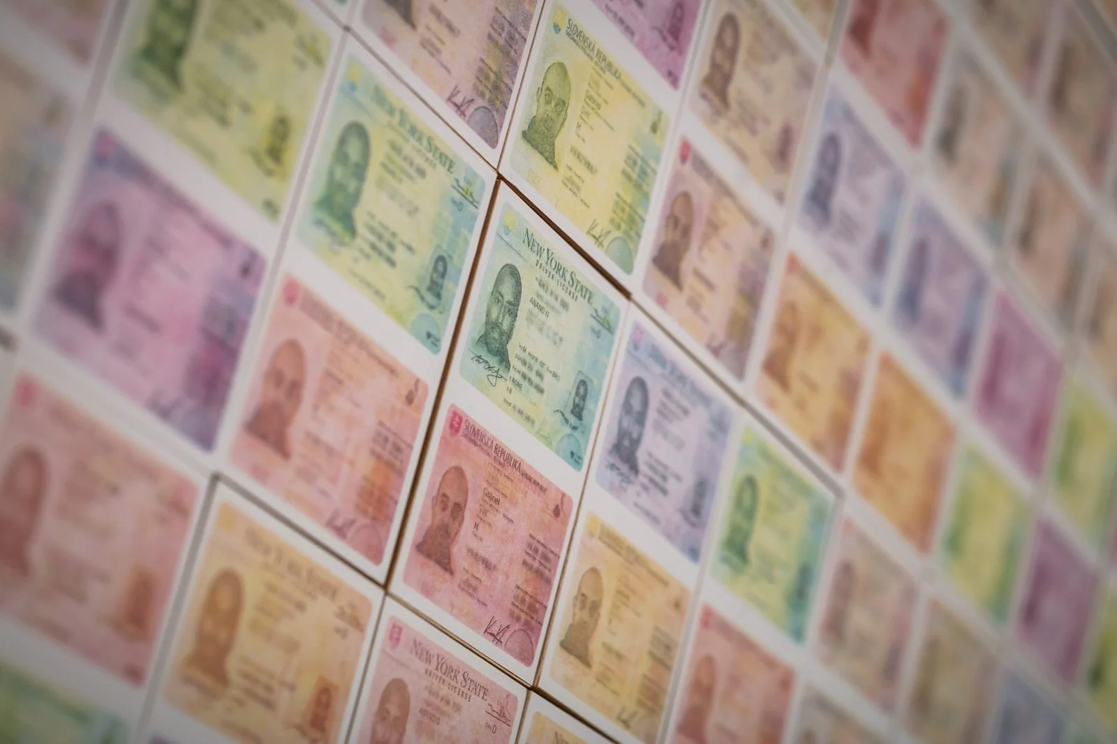 Installation detail from ‘You’re Both Brown They Won’t Notice the Difference’ by Gábor Koós.