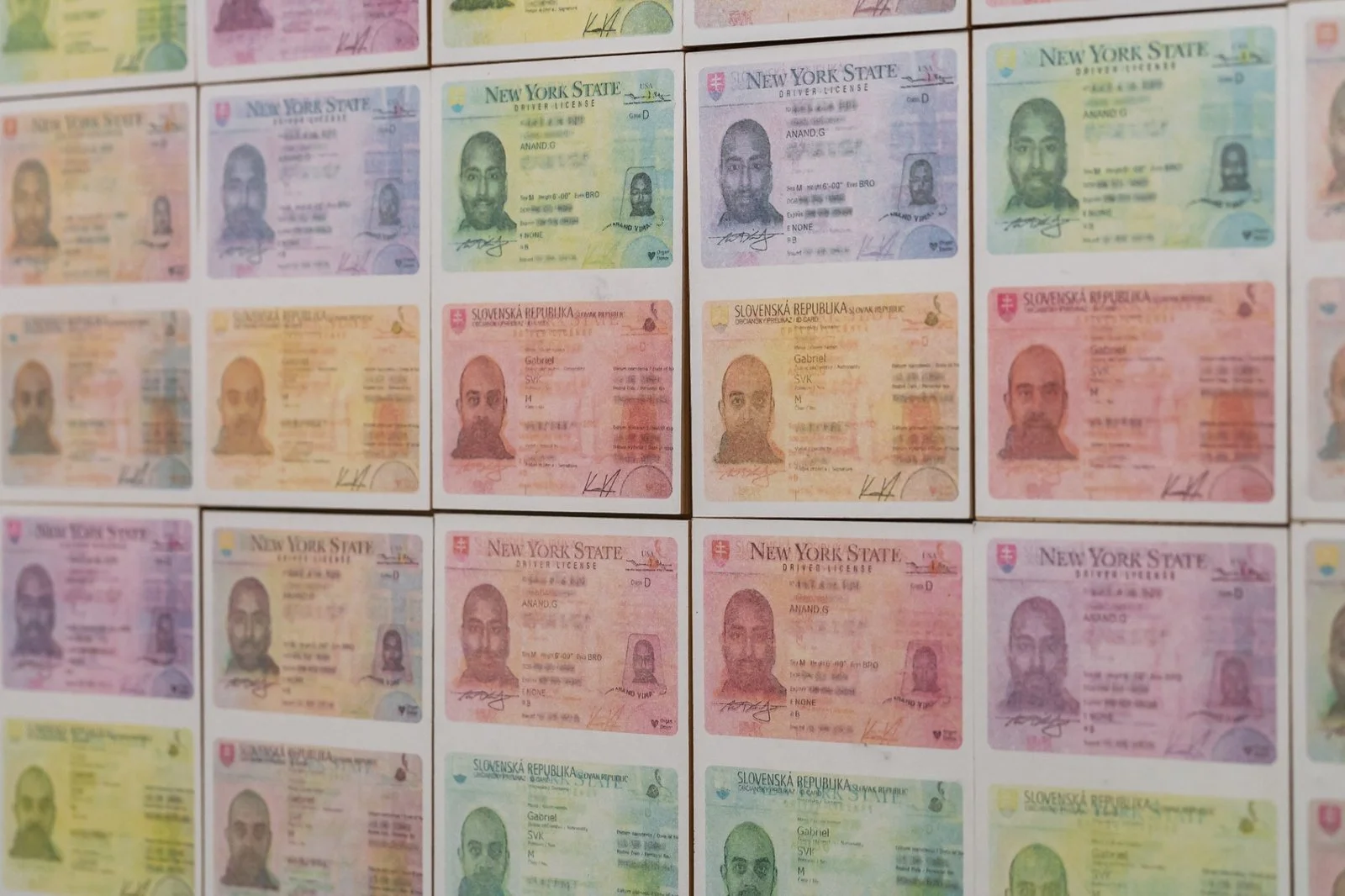 Portrait-based installation using repetition of identification cards to reflect bureaucratic identity loss.