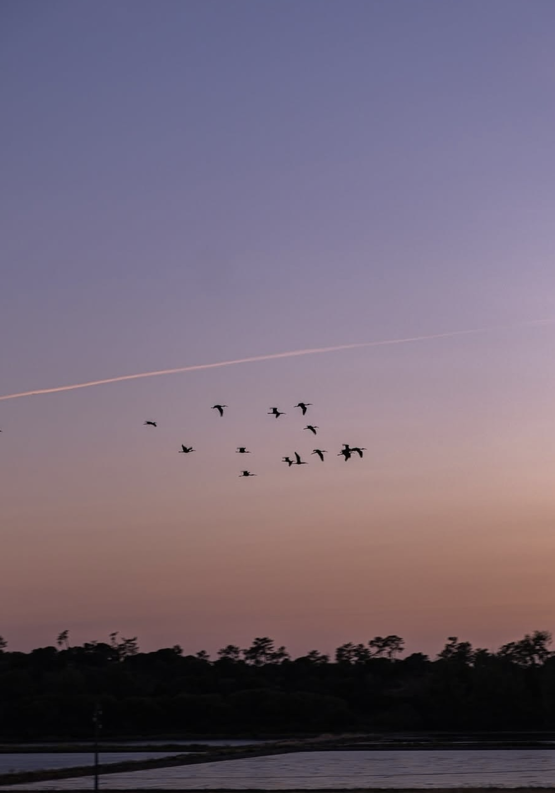 Screenshot 2026-02-21 at 15.34.42.png