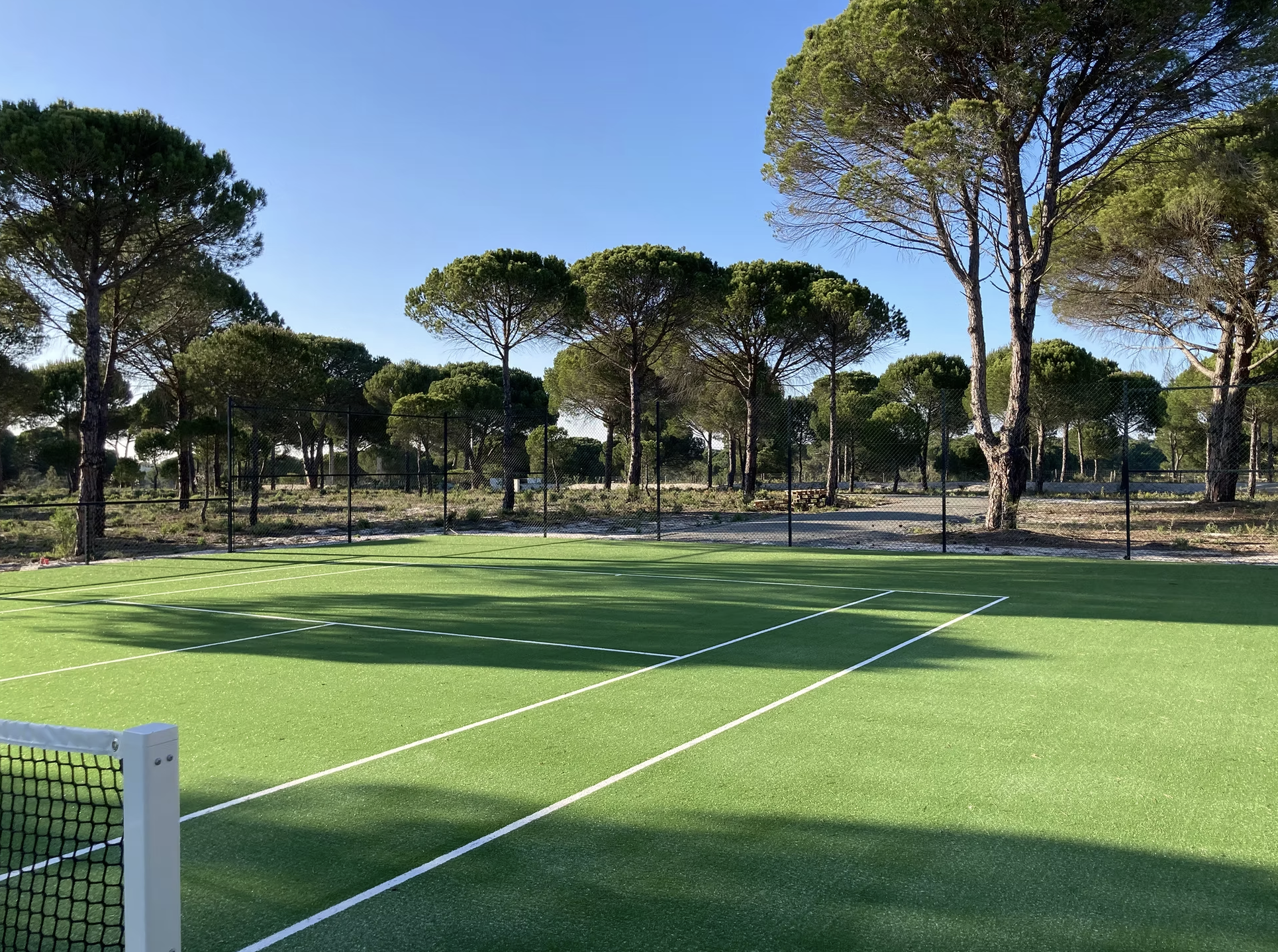 Screenshot 2026-02-18 at 16.06.29.png