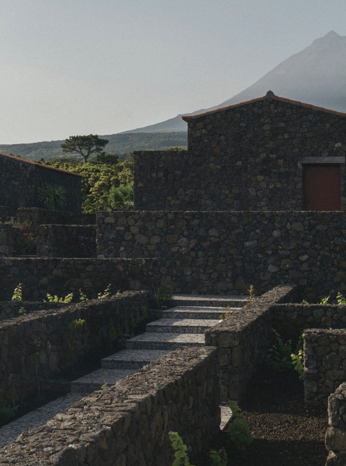 Pico Vineyards / Hotel / Pico Island