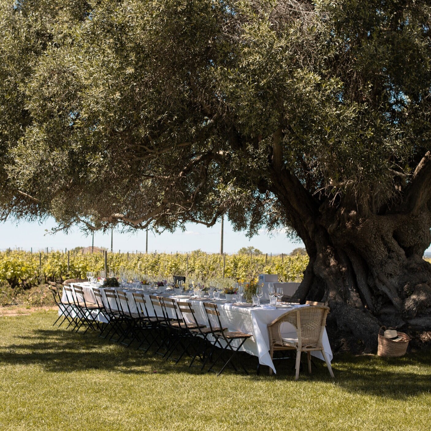 wine%2Btastings%2Bin%2Balgarve.jpg