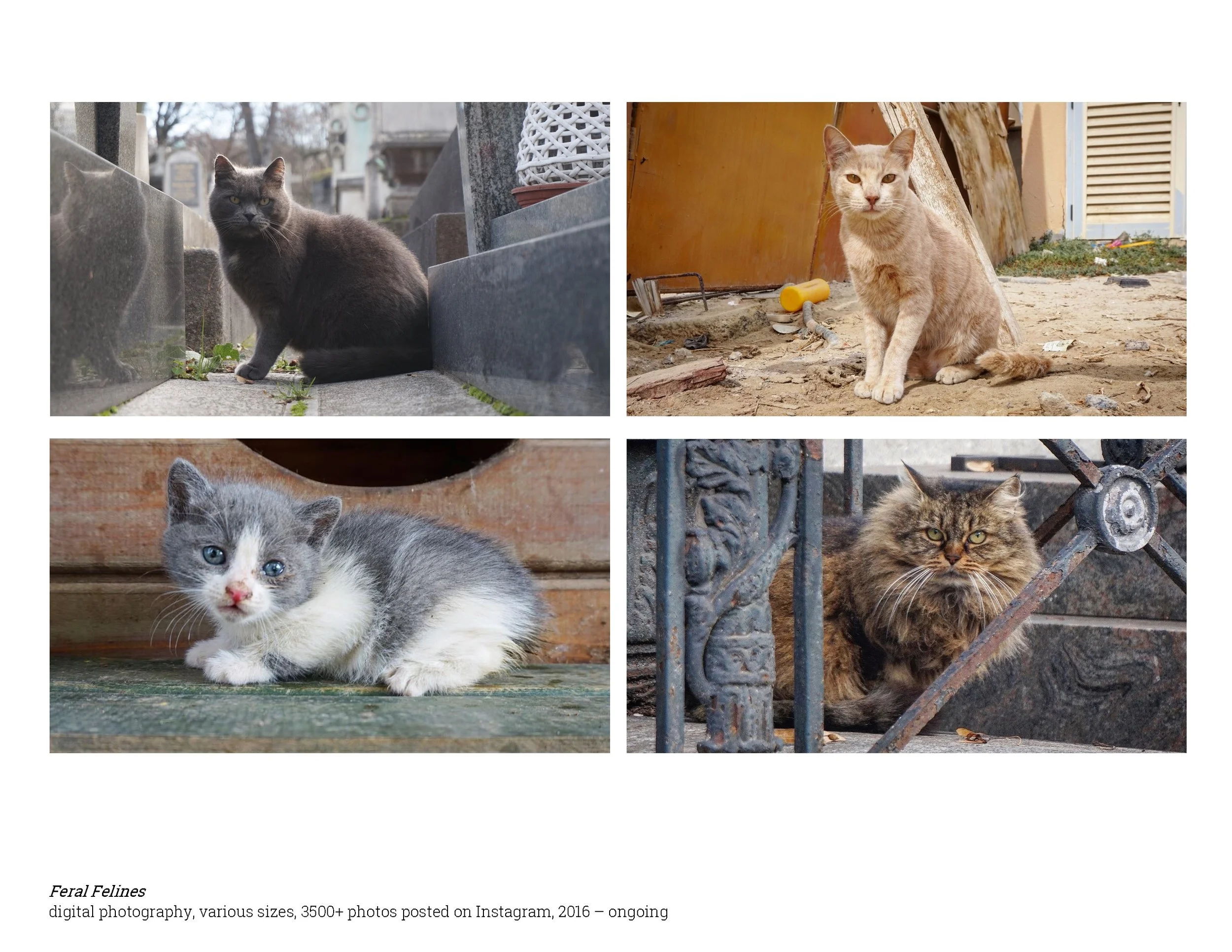 Clark Stoeckley Portfolio 2026_Page_28.jpg