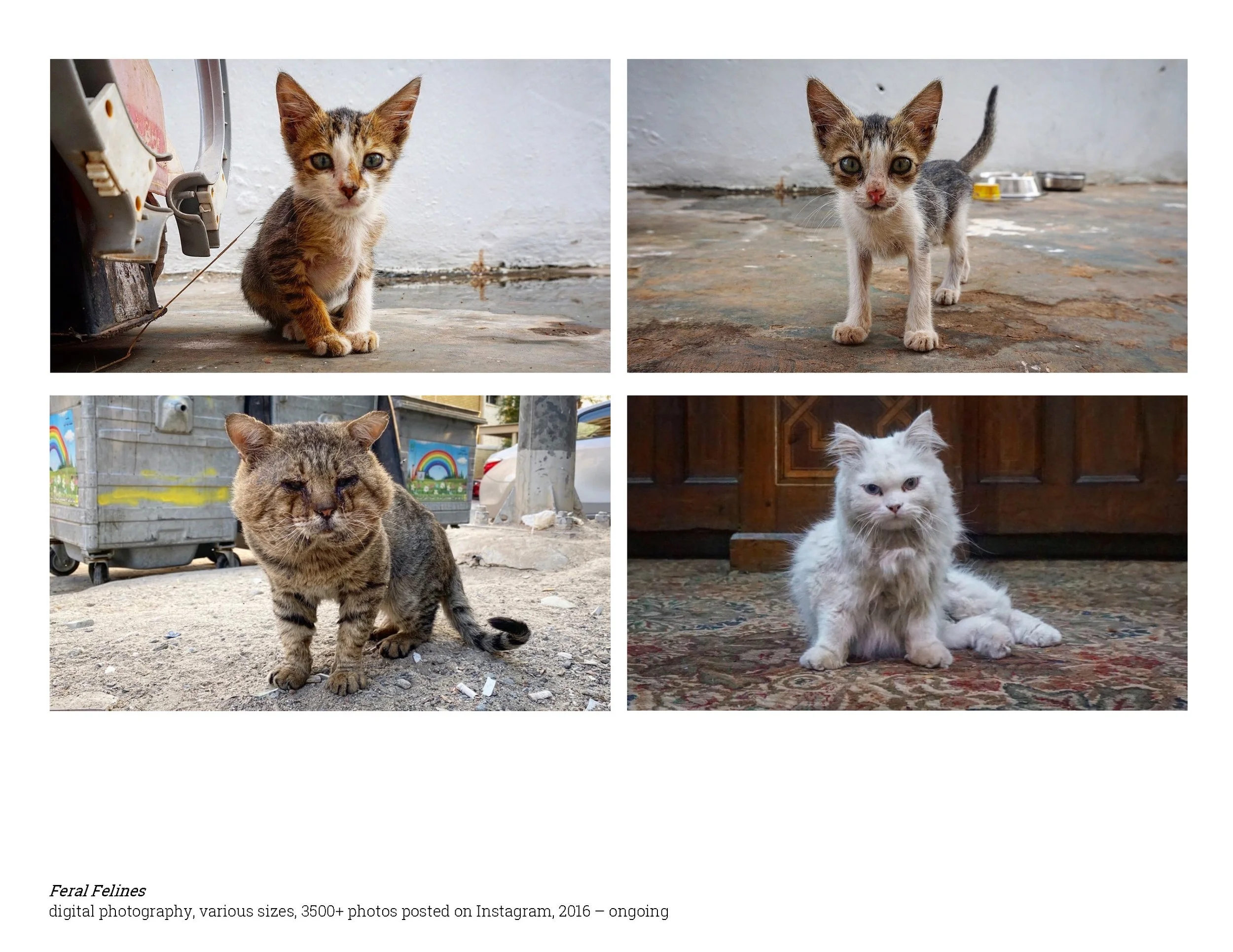 Clark Stoeckley Portfolio 2026_Page_30.jpg