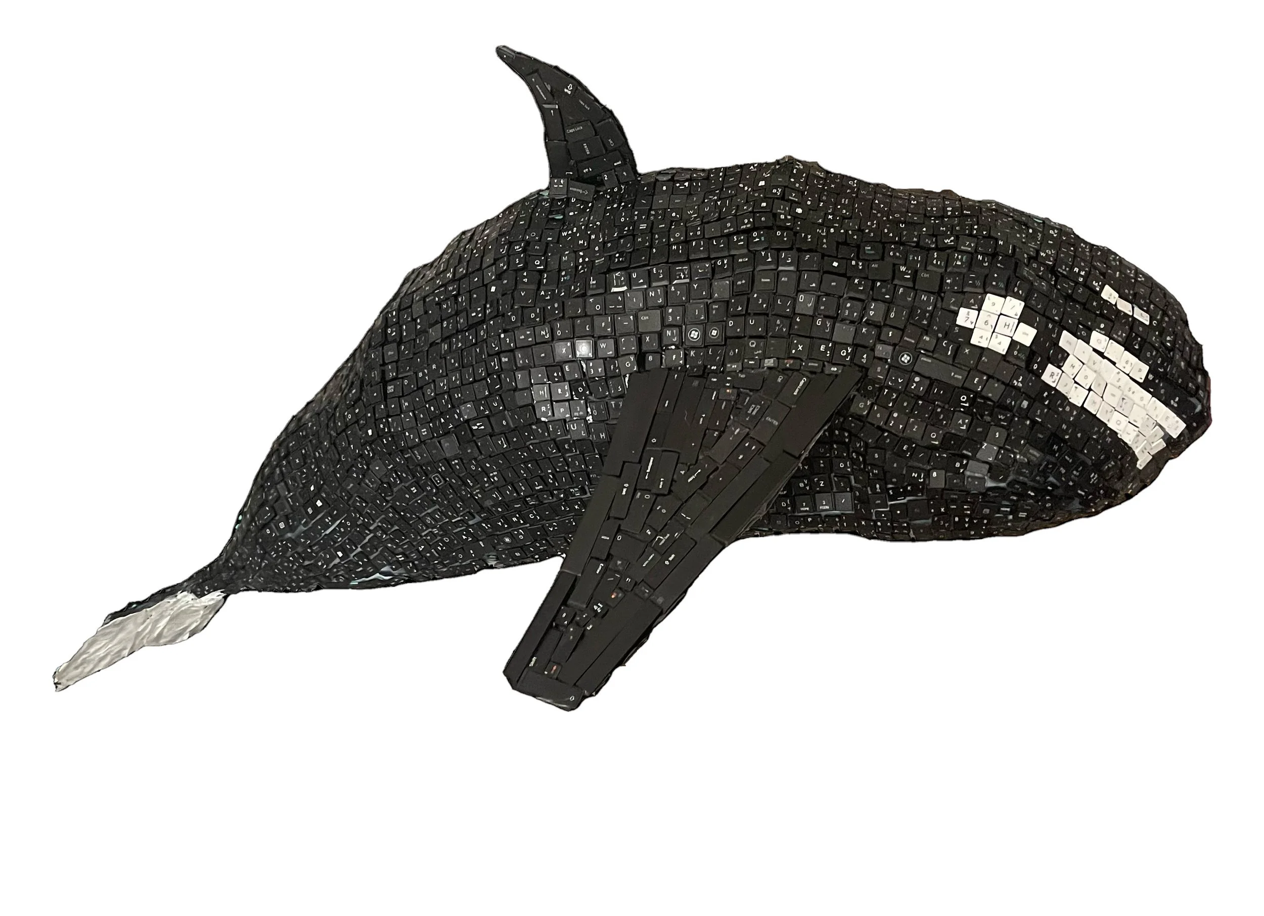 Mohammad Alosaimi Whale S00050696 ART 122.jpg