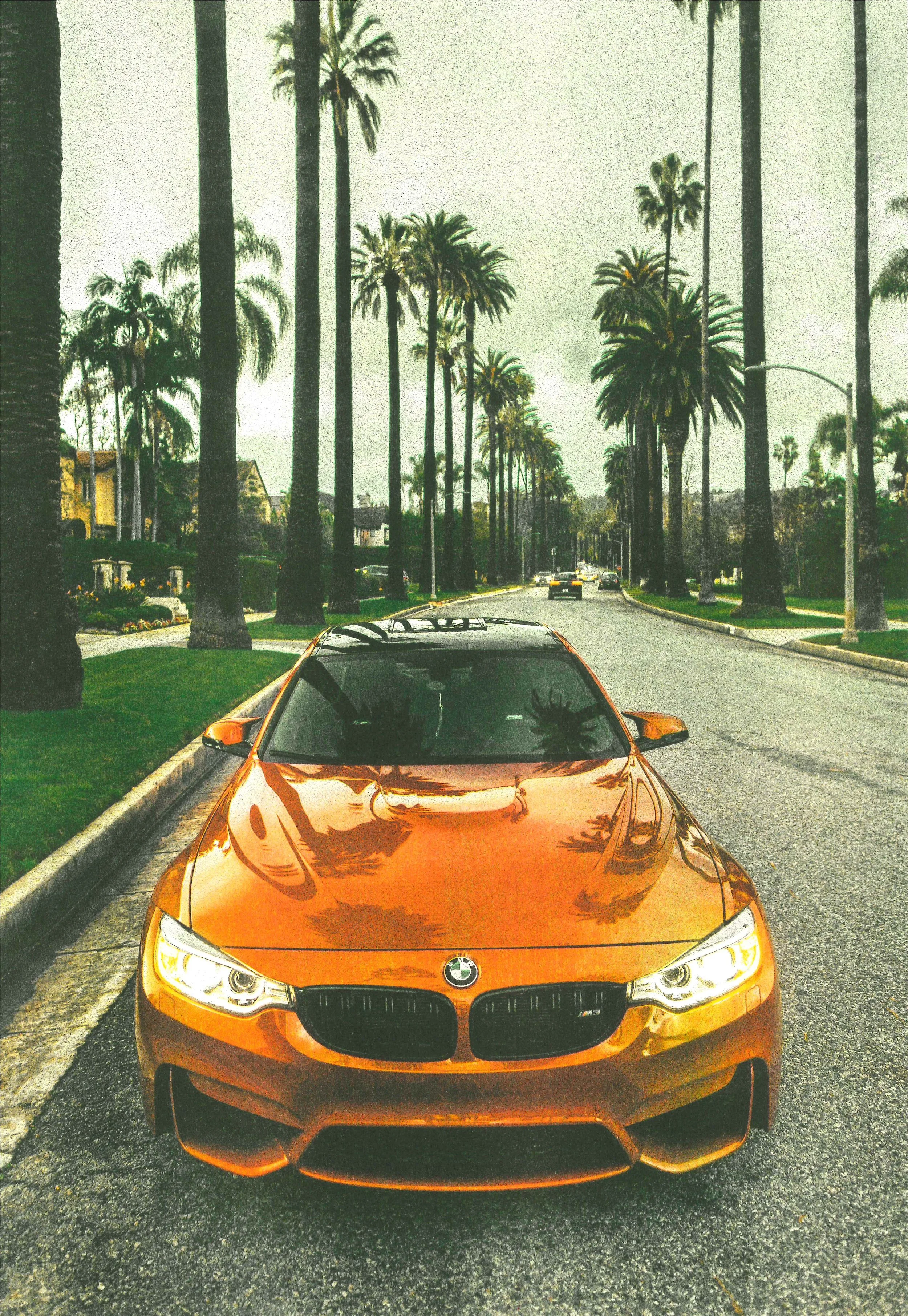 Your Scanned Document0009.jpeg