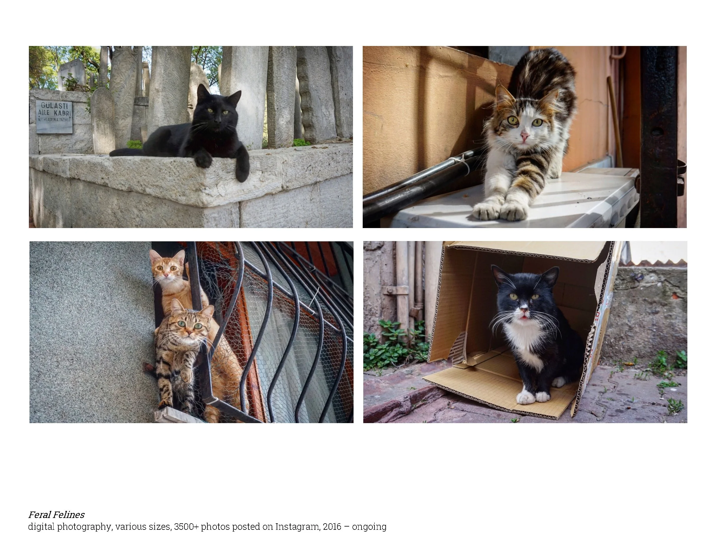 Clark Stoeckley Portfolio 2026_Page_27.jpg