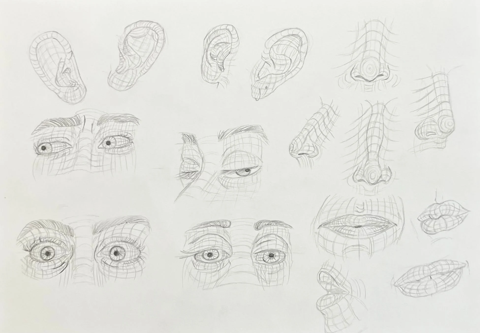 A3 cross contour.jpeg