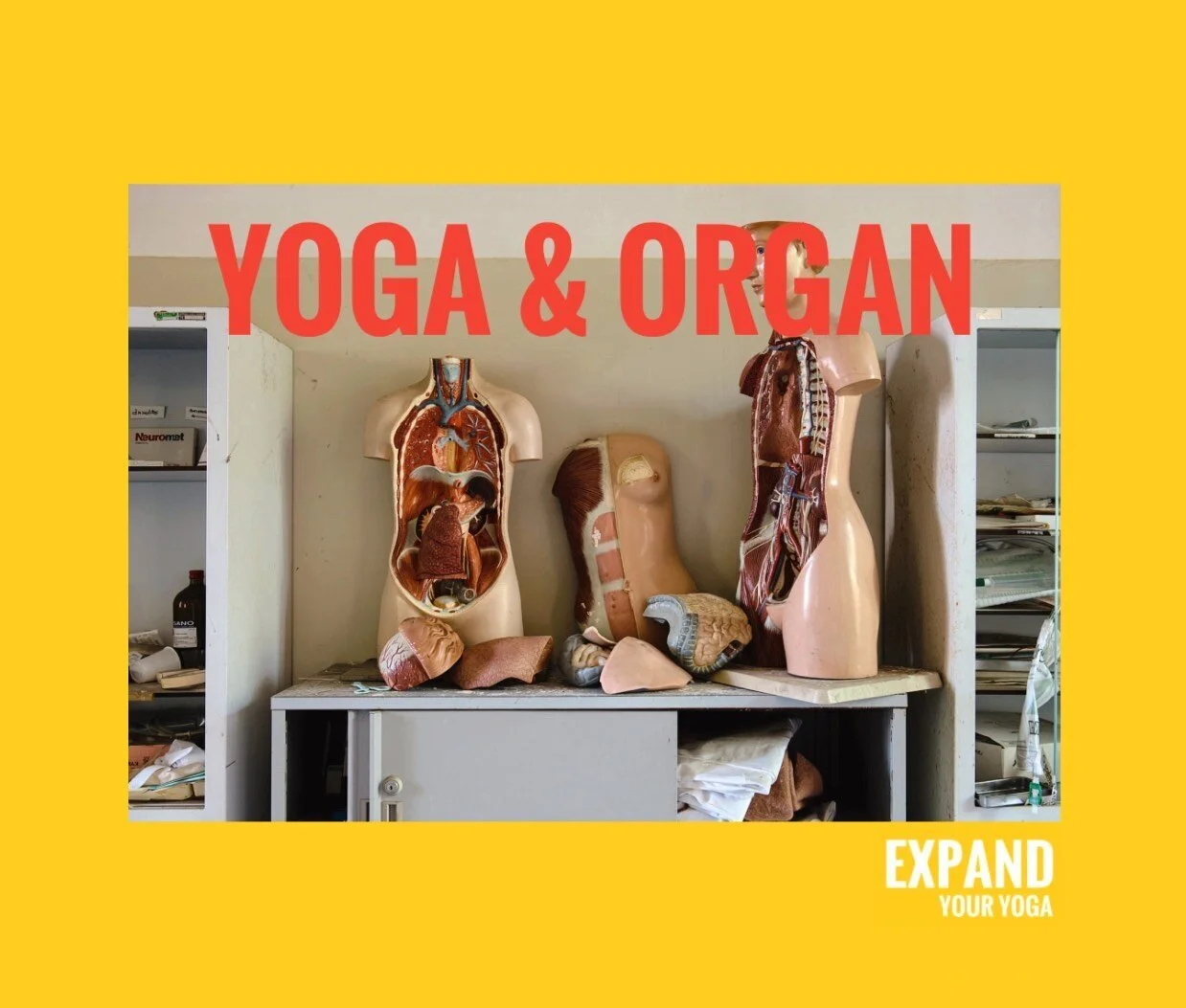 Kan en viss form generera en fysiologisk effekt?