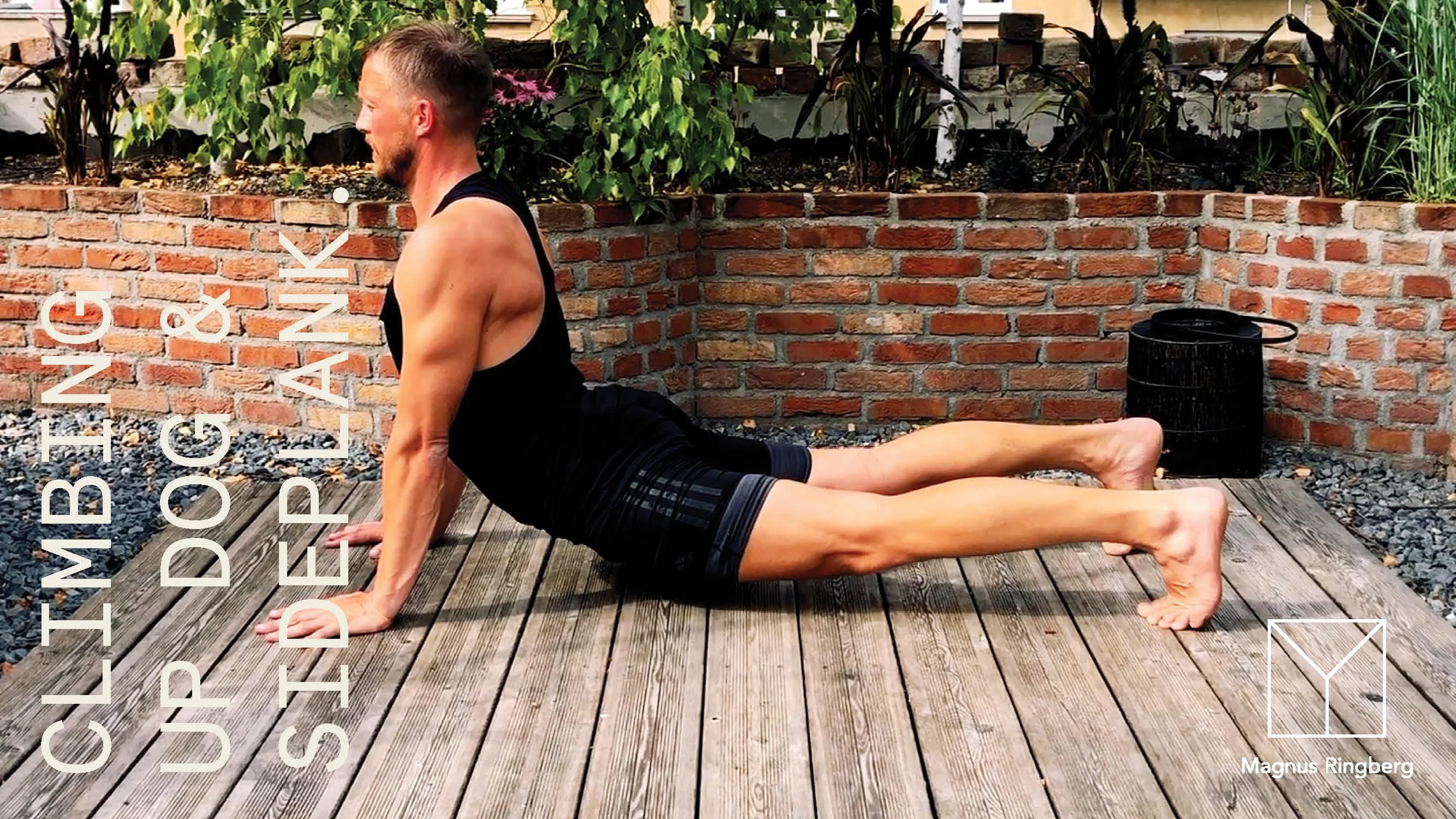 Movement  inspiration?