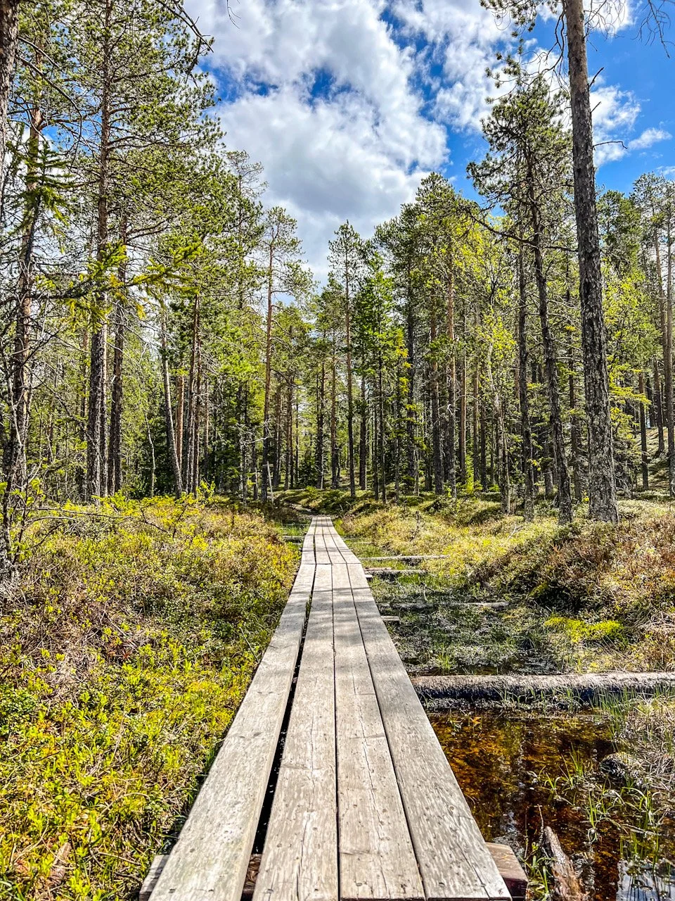 Trail running in Åre, Sweden