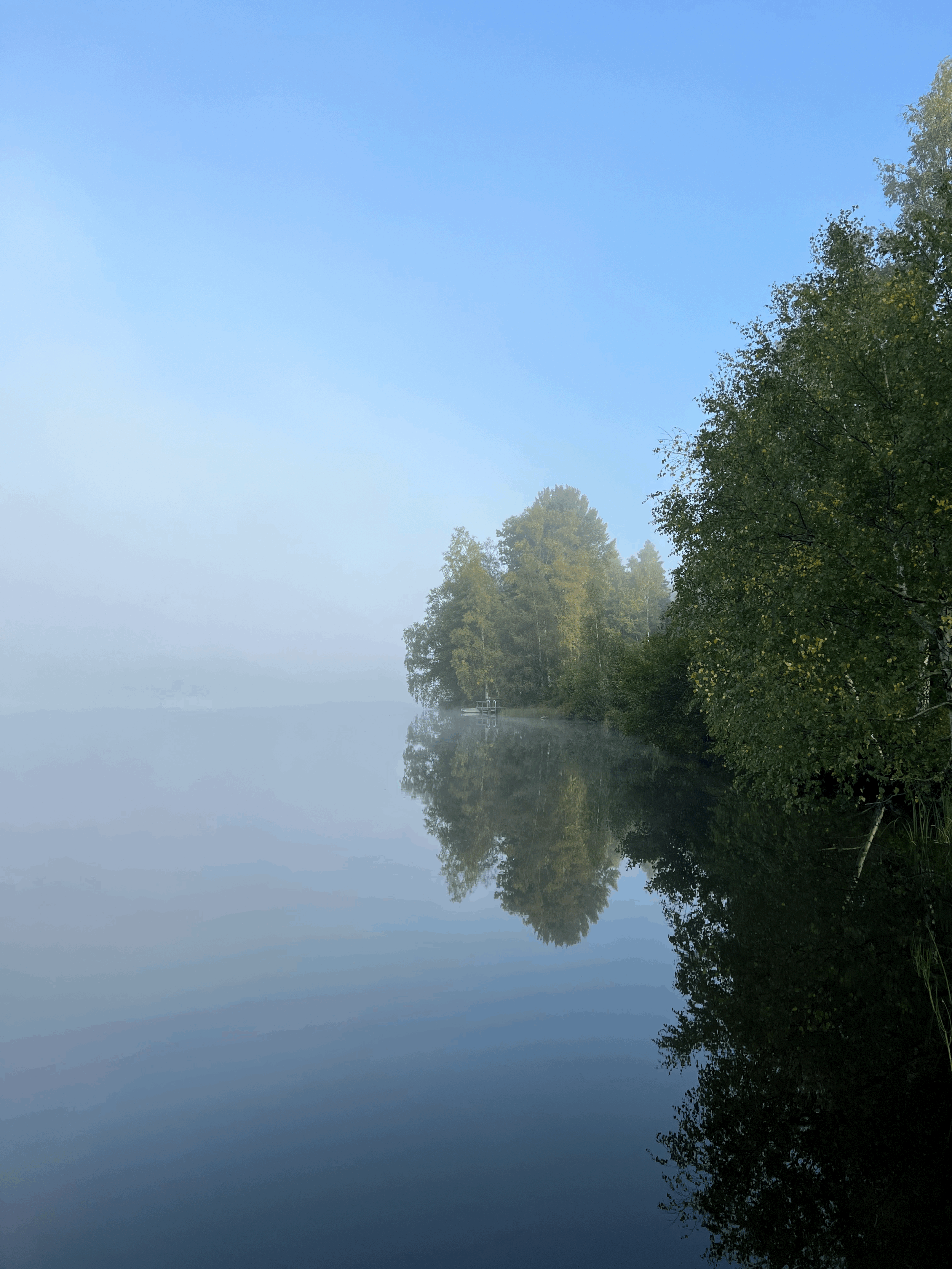 The Amazing Outdoors 