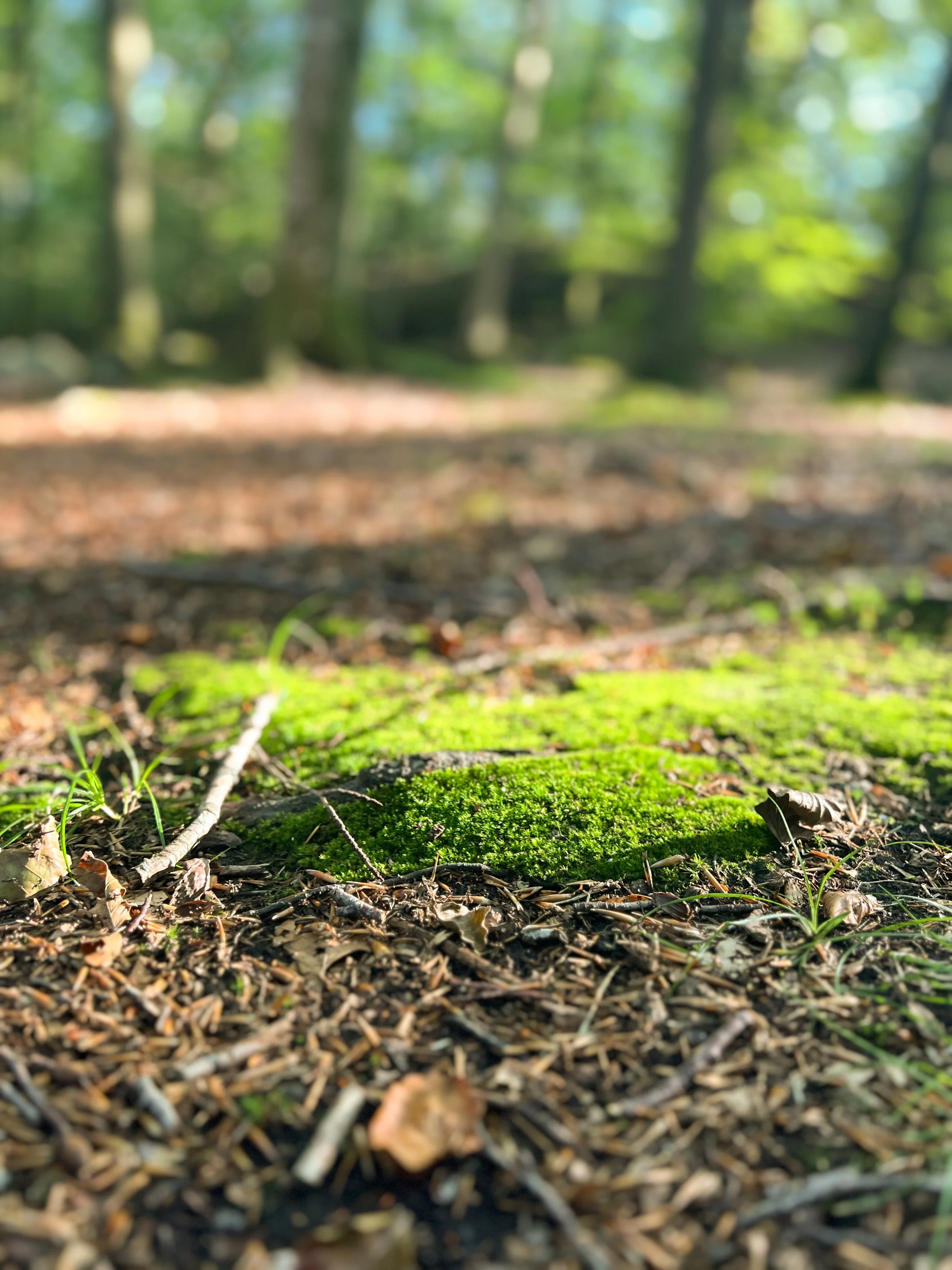 Outdoor Movement with ICEBUG and Inner Strength