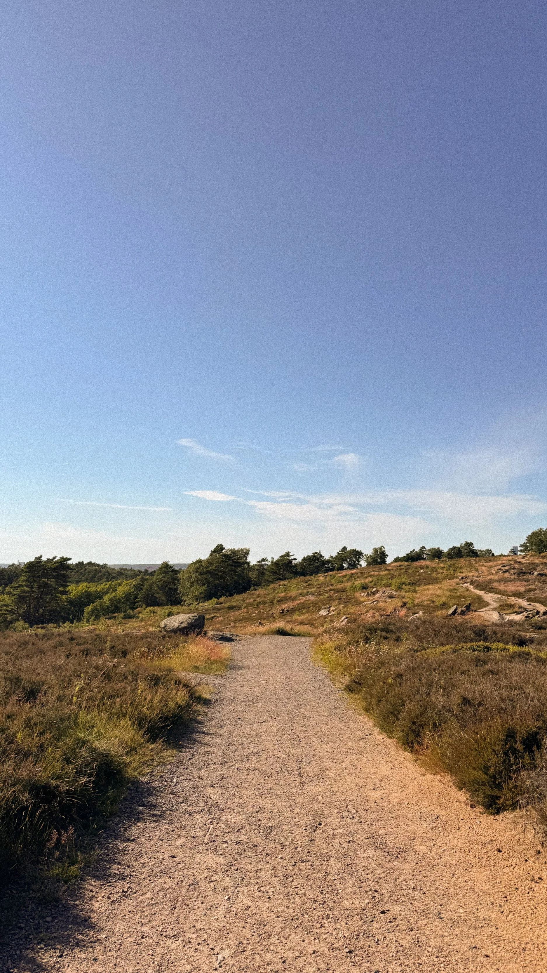 August 