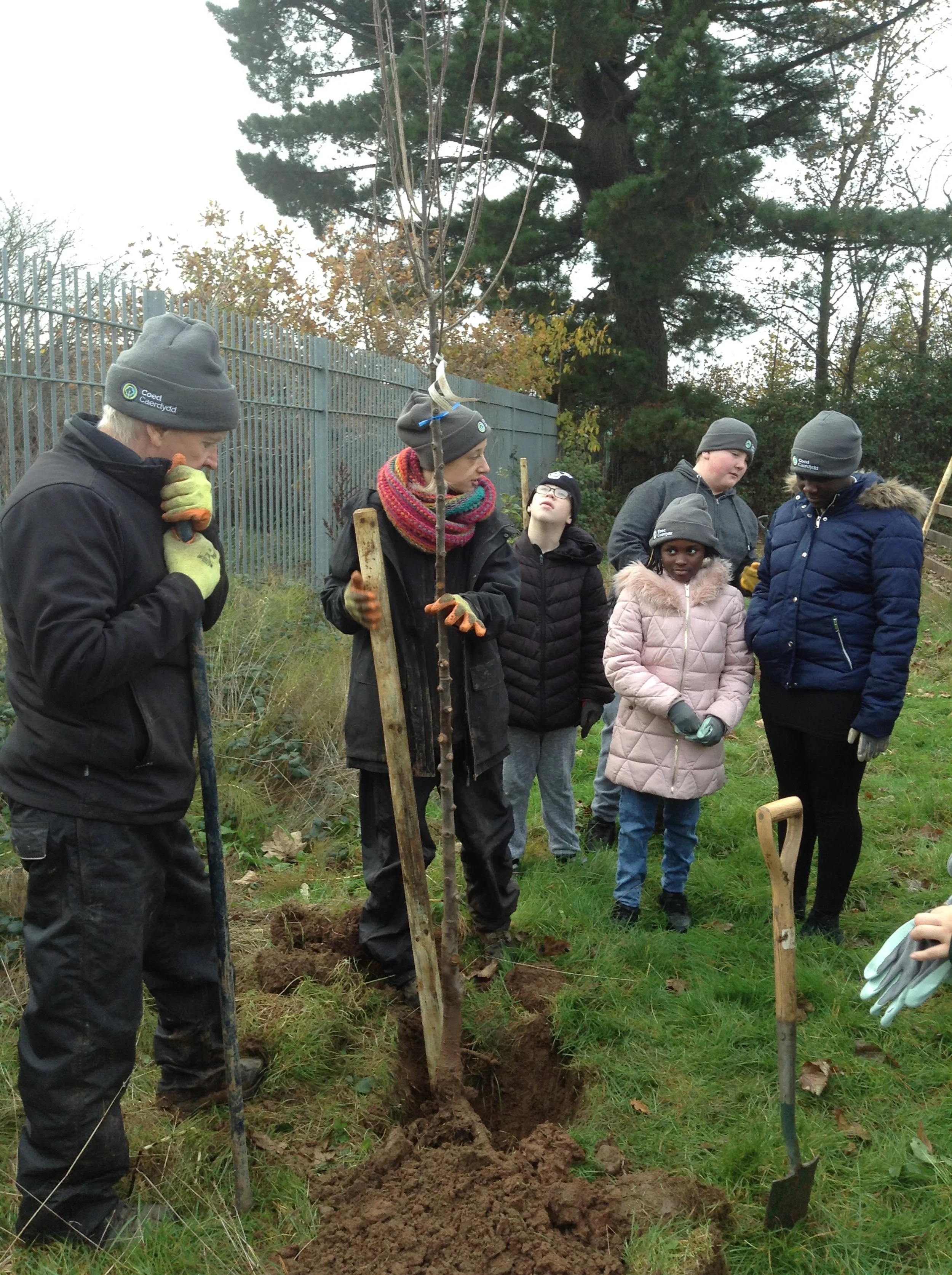 Tree Planting 4.JPG