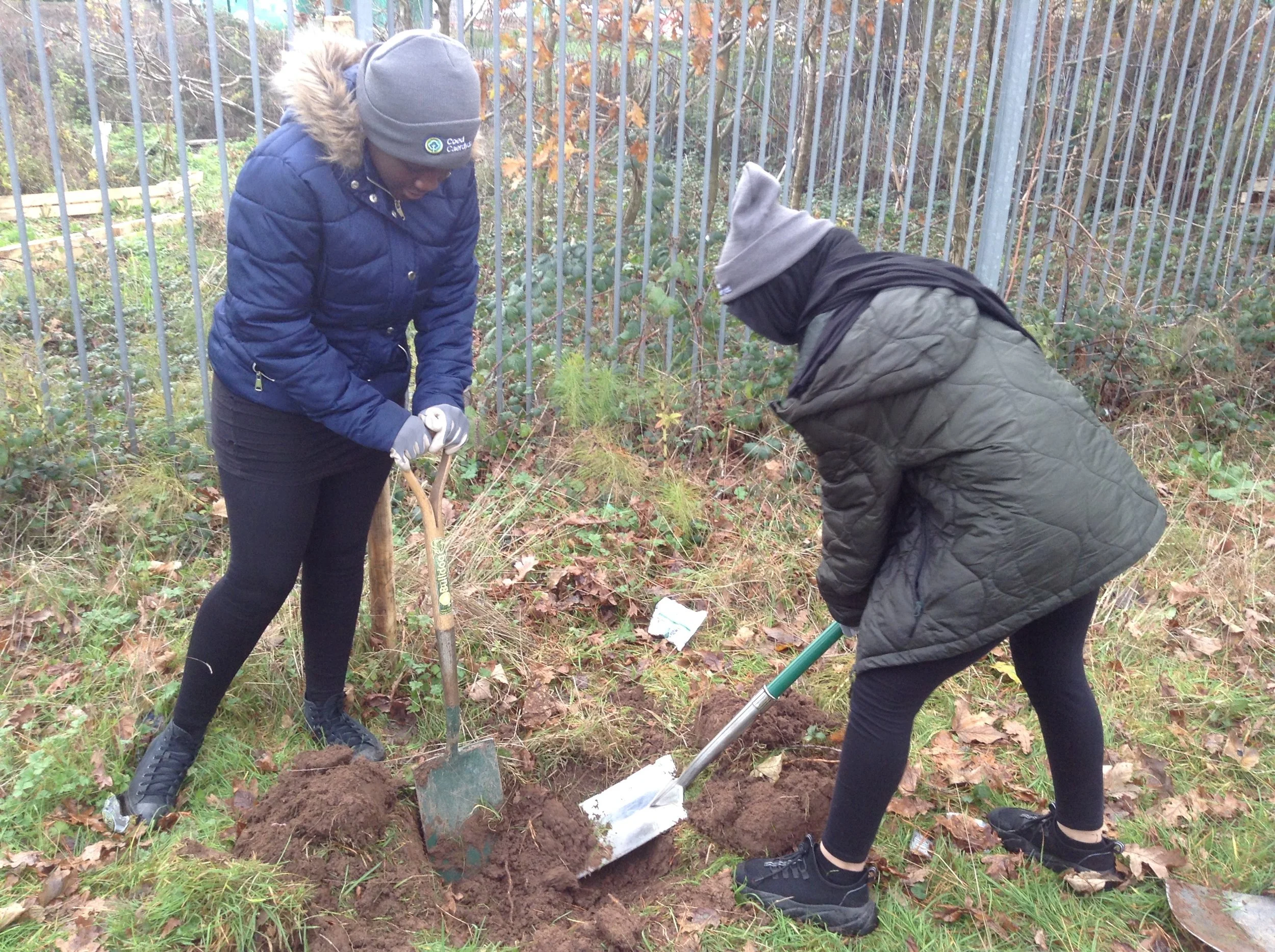 Tree Planting 3.JPG