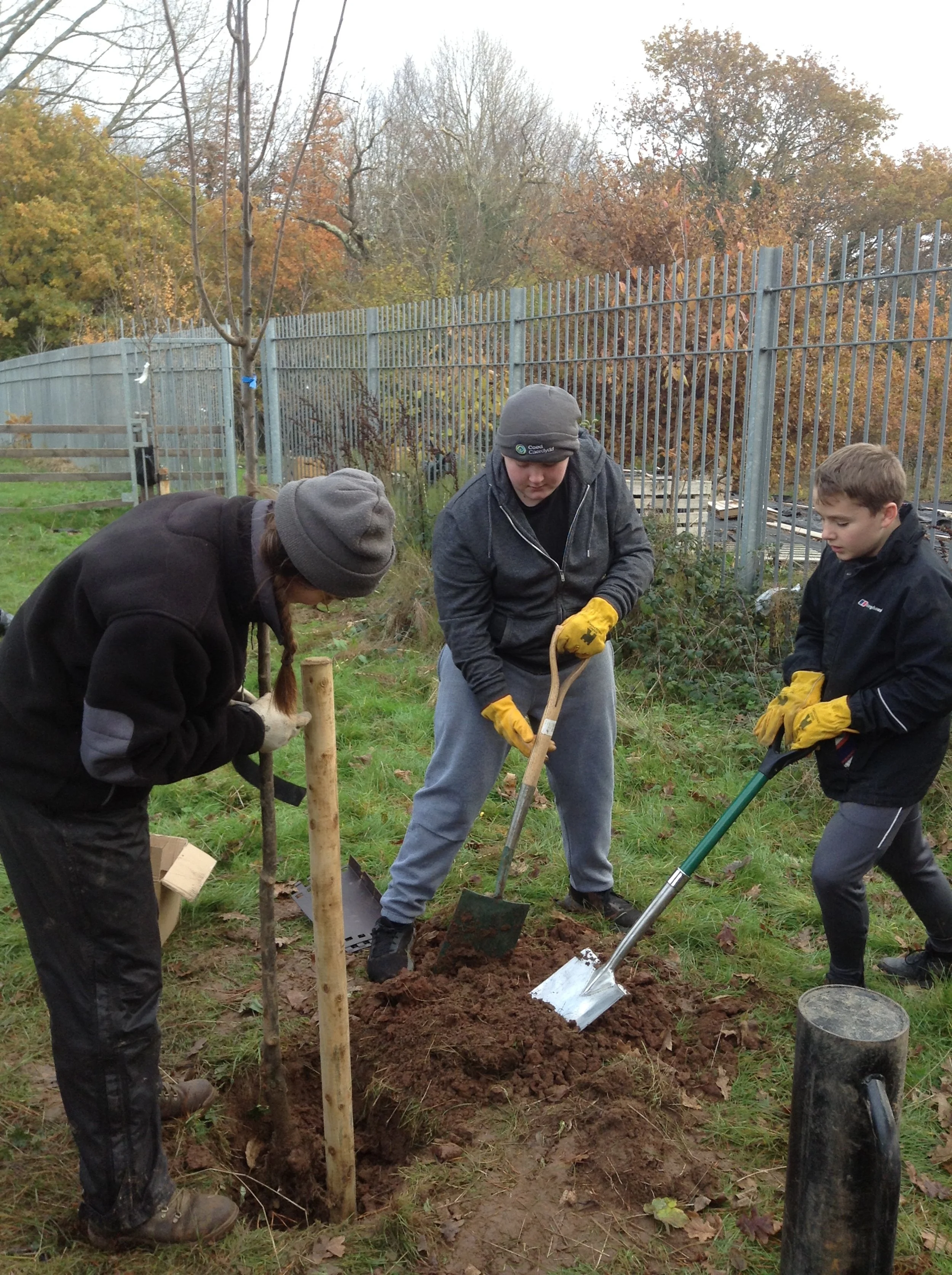 Tree Planting 7.JPG