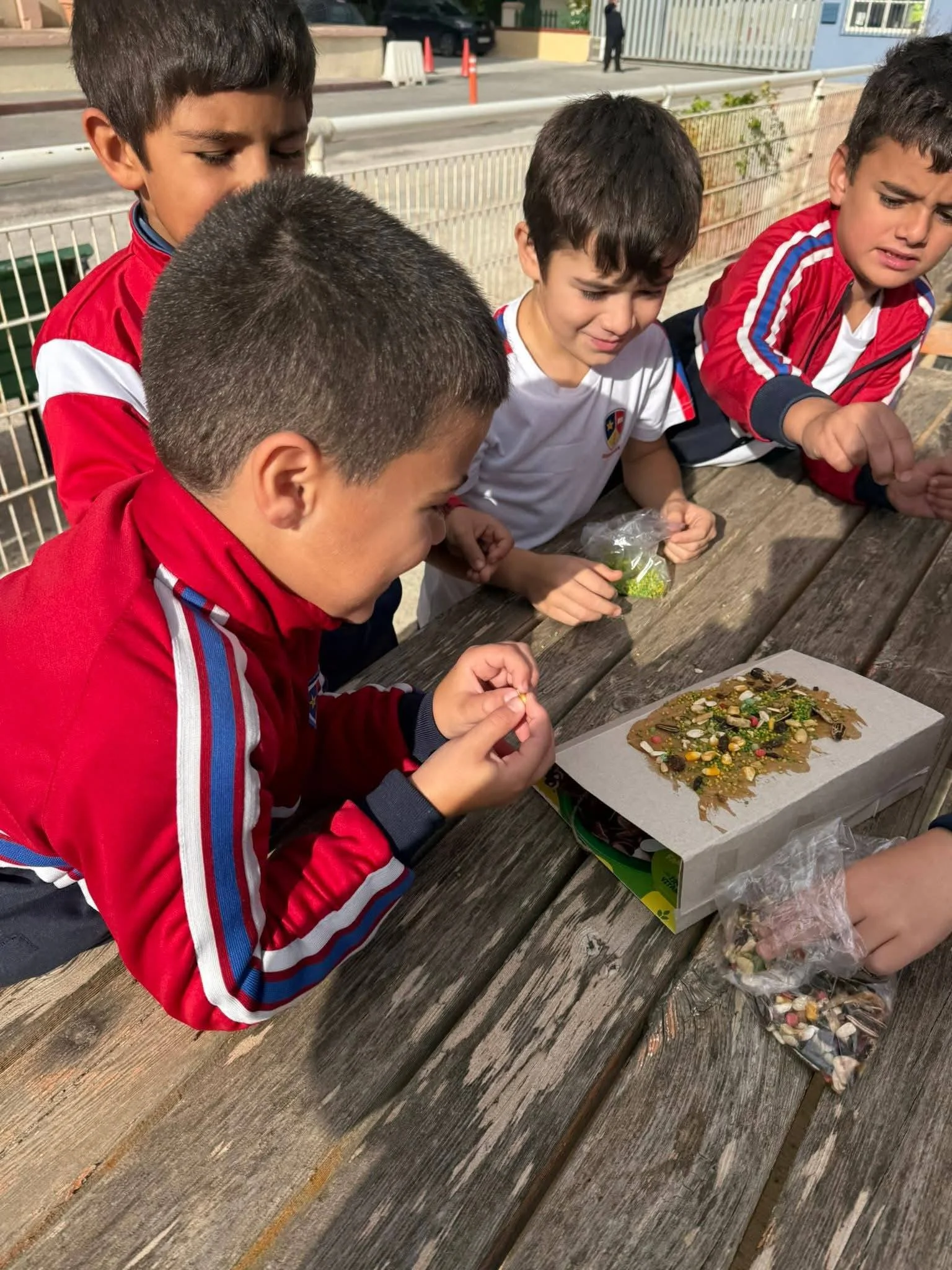 Supporting local wildlife at DLS Junior School