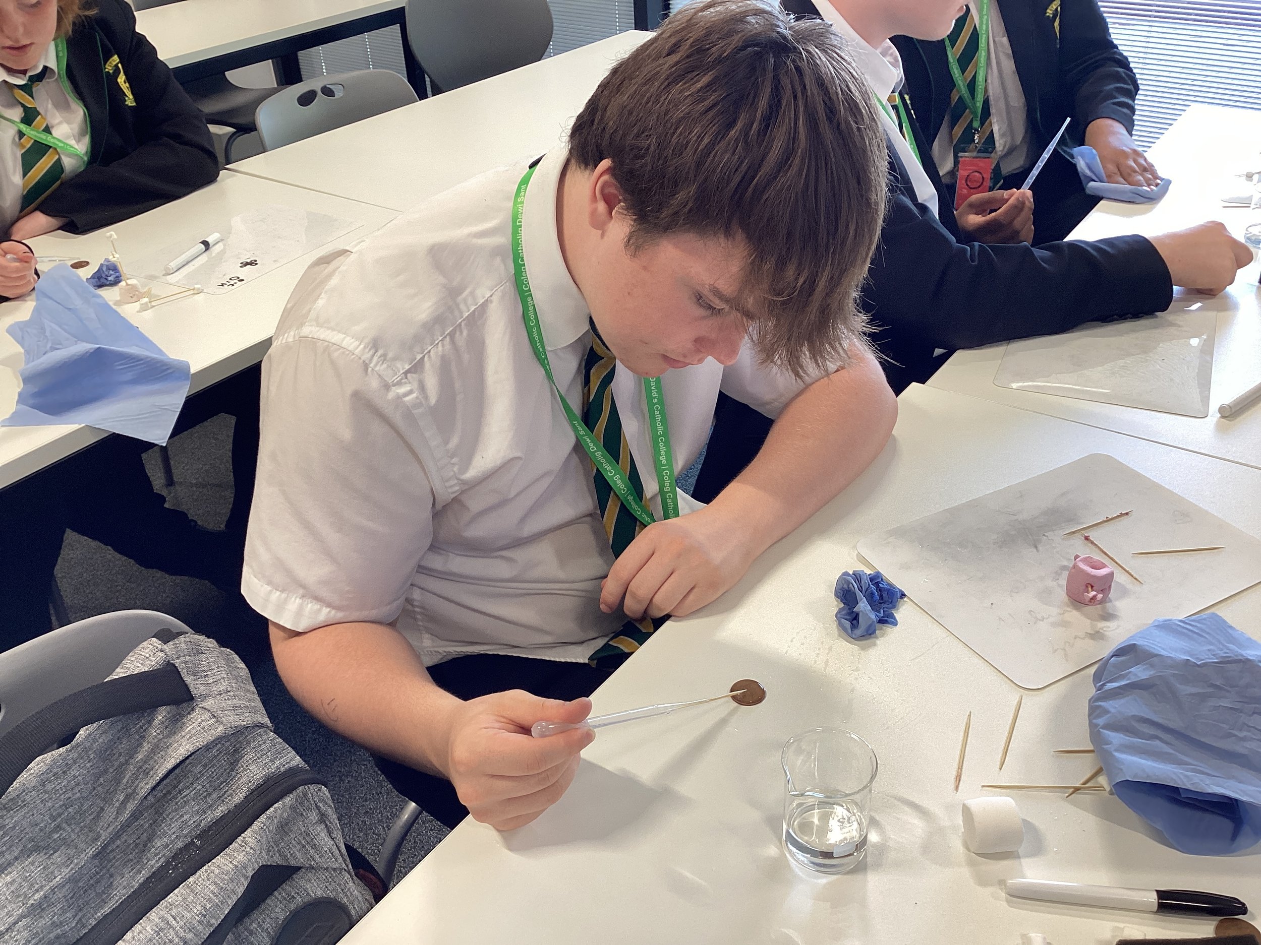 St David's College 2025 (4).JPG